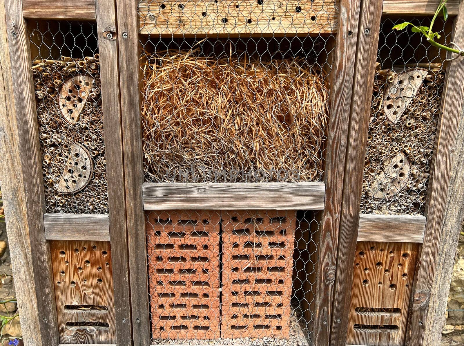 Insect hotels serve insects,especially wild bees,as shelter and breeding grounds. Insect hotels serve insects,especially wild bees,as a shelter and breeding ground.