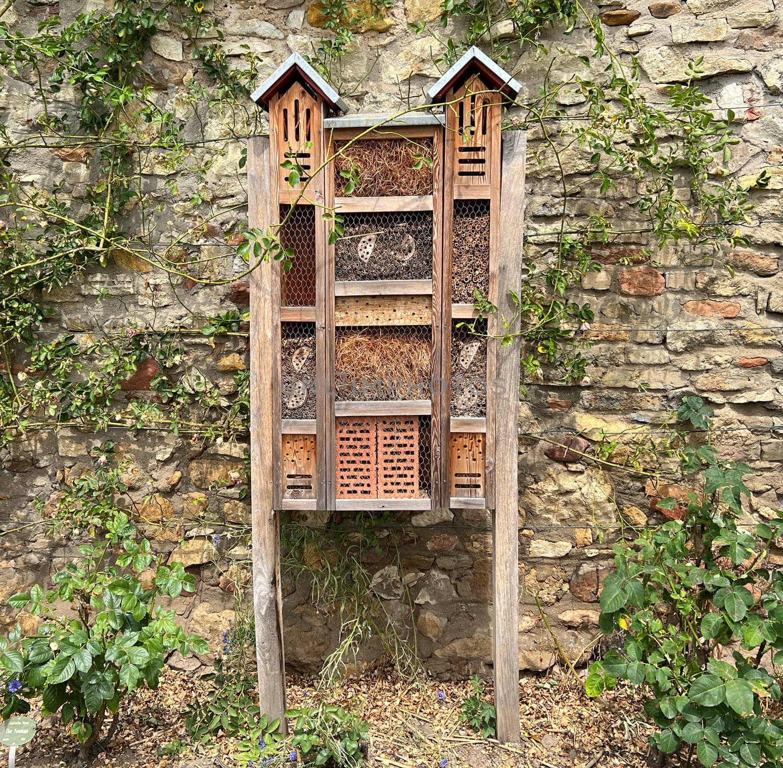 Insect hotels serve insects,especially wild bees,as shelter and breeding grounds. Insect hotels serve insects,especially wild bees,as a shelter and breeding ground.