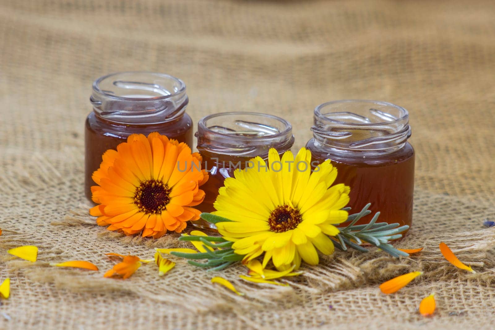 honey and calendula flowers - close up