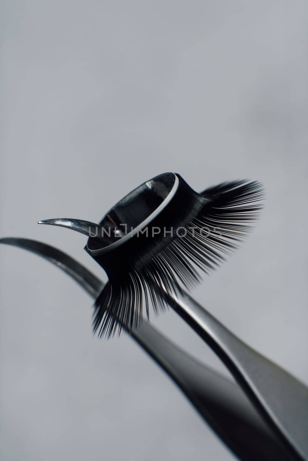 Close up of tweezers with ring of black artificial eyelashes hanging on tip, against gray background. Tool for lash extension that separating cilia and assisting create glamour look. Vertical.