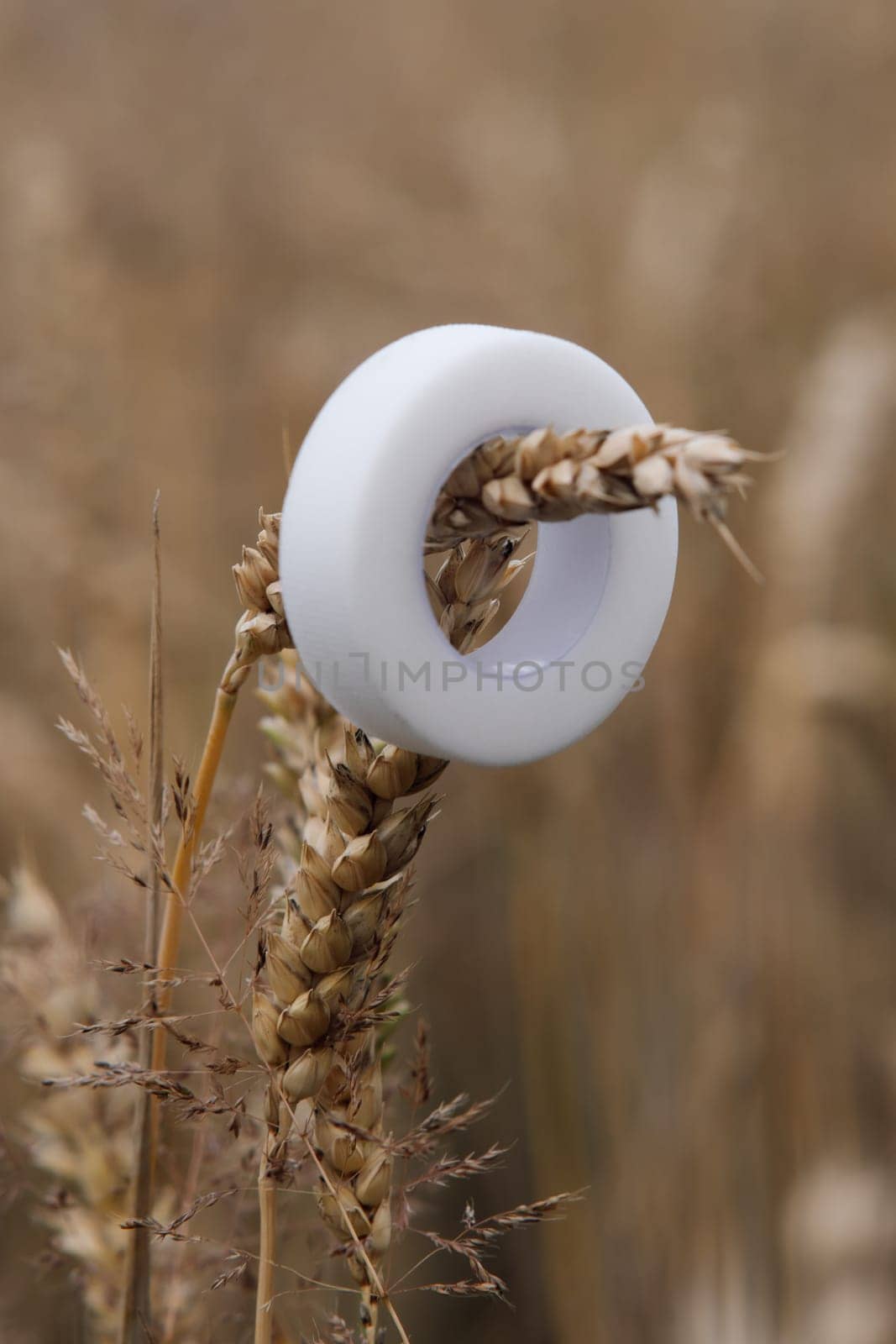 White plastic tape for fixation lashes in process of eyelash extension procedure hanging on branch of wheat outdoors. Material featuring gentle adhesive that holding lower cilia in place. Vertical.