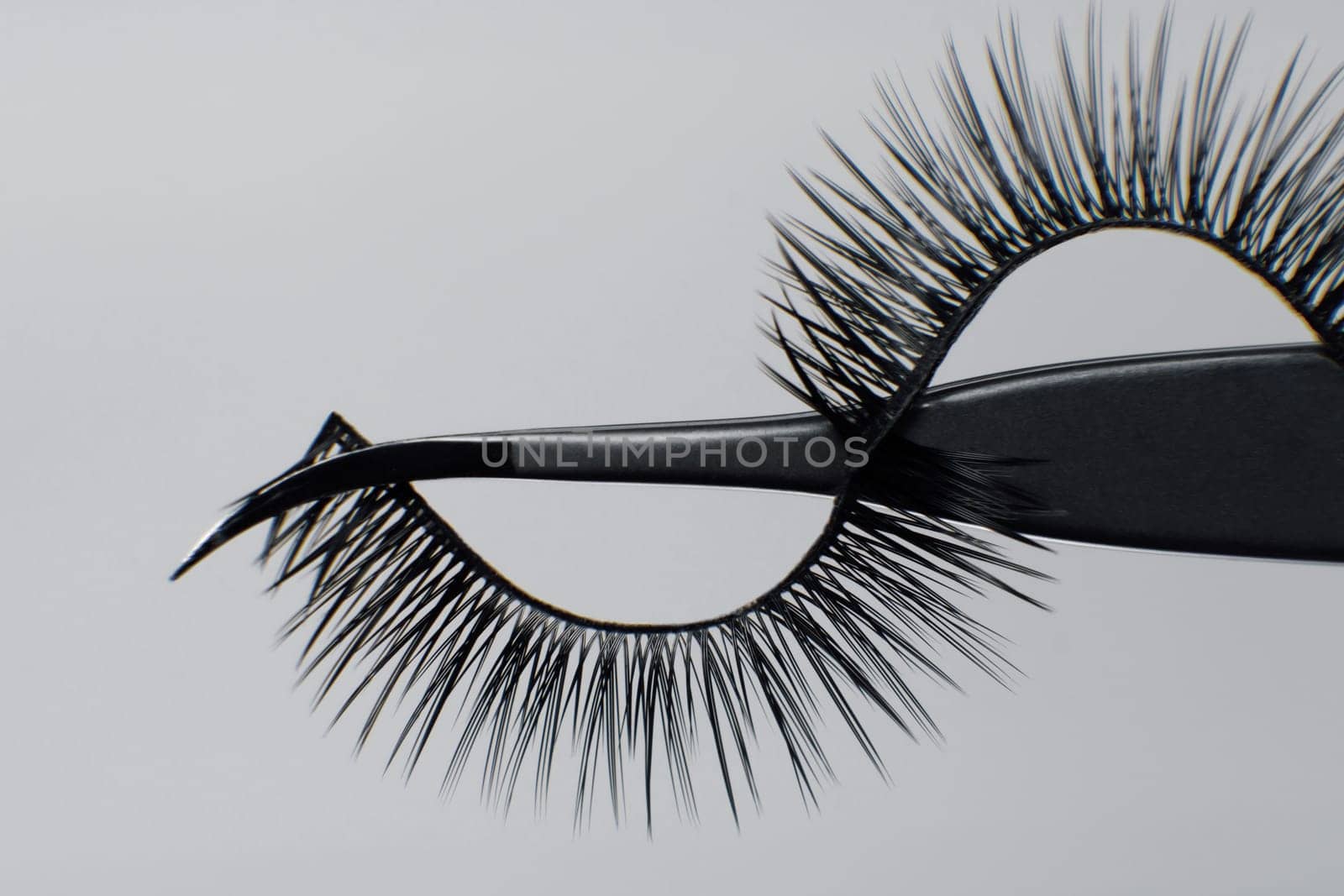 Close up of professional tweezers, using for lash extension procedure, isolated on gray background with pair of black artificial eyelashes, creating shape of wave and passing through tool.