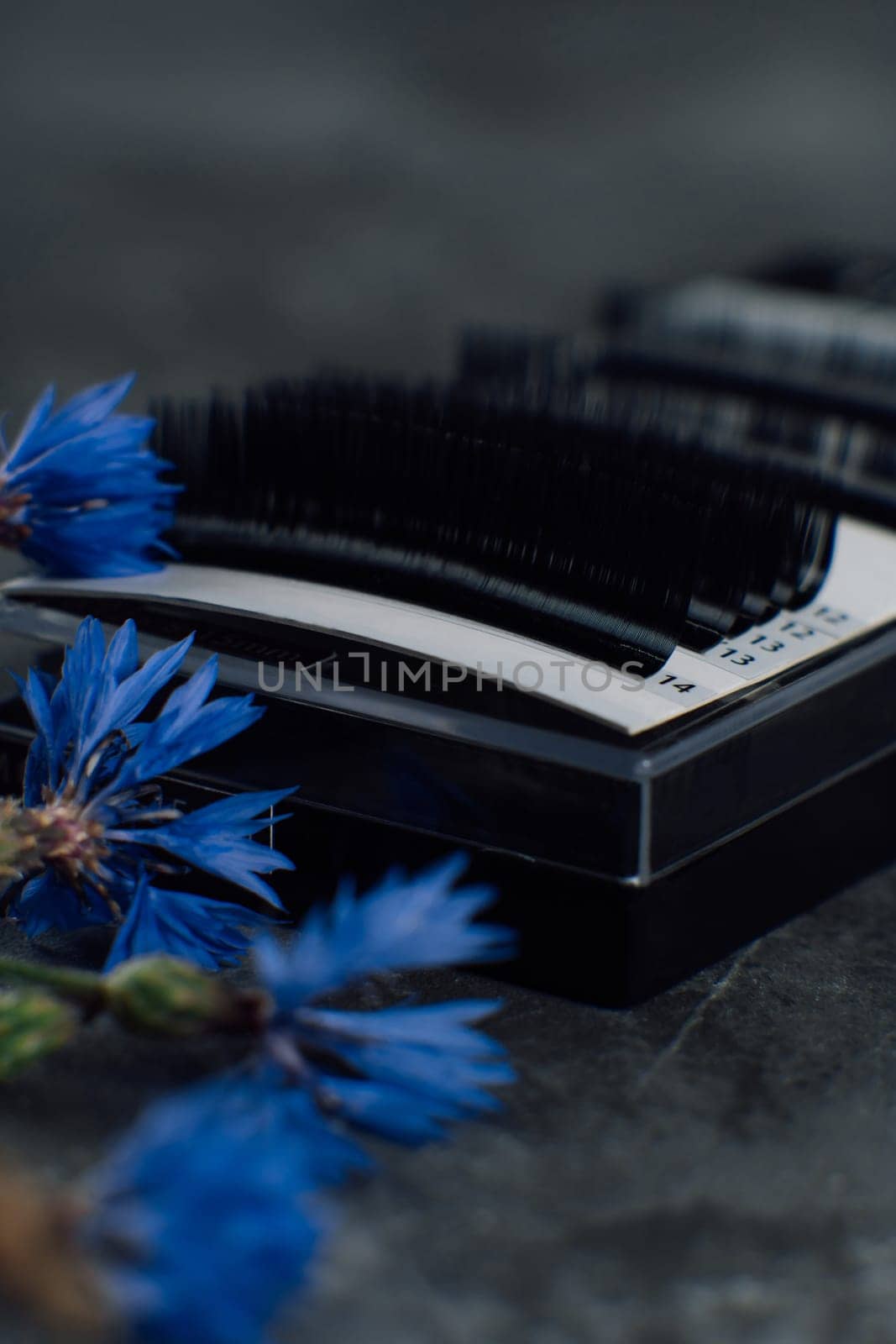 Professional palette of black artificial eyelashes using throughout lash extension procedure, applying on eyelids, lying on gray table near blue cornflowers.