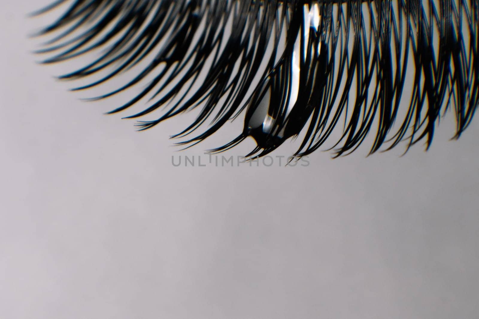 Close up of black artificial eyelashes with drop of water on cilia using for lash extension procedure hanging against light gray background, perfect for creating voluminous and glamorous look.