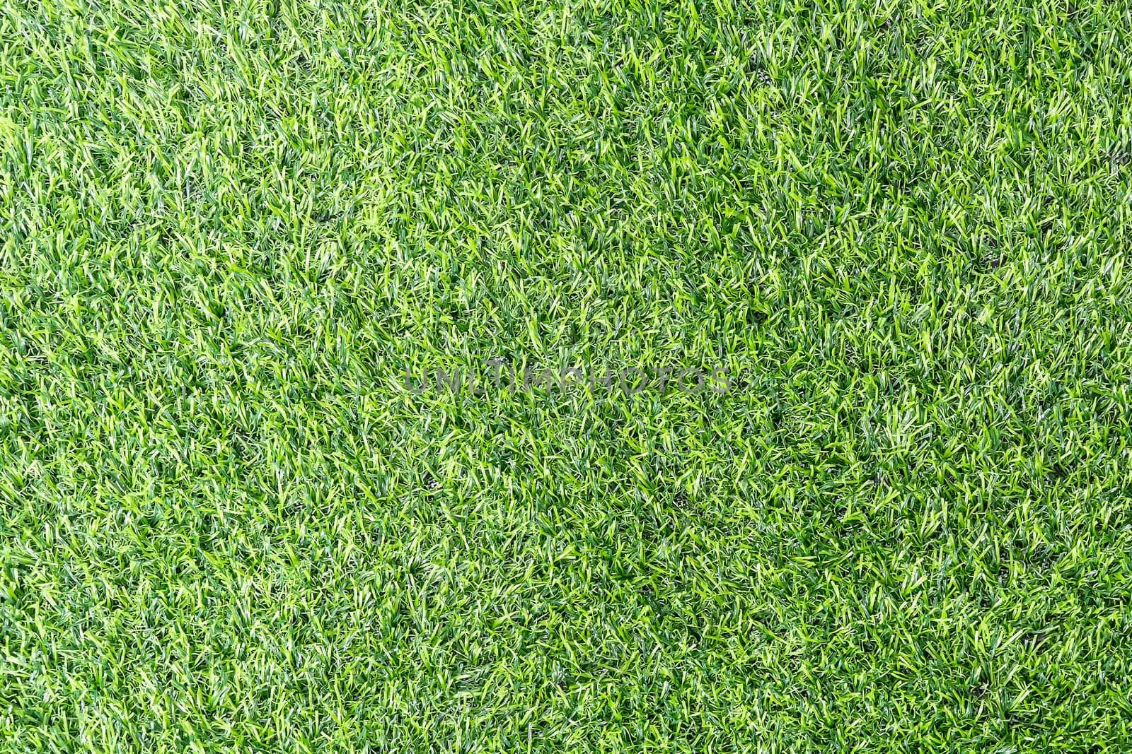 Artificial grass is used to decorate the garden for beauty.