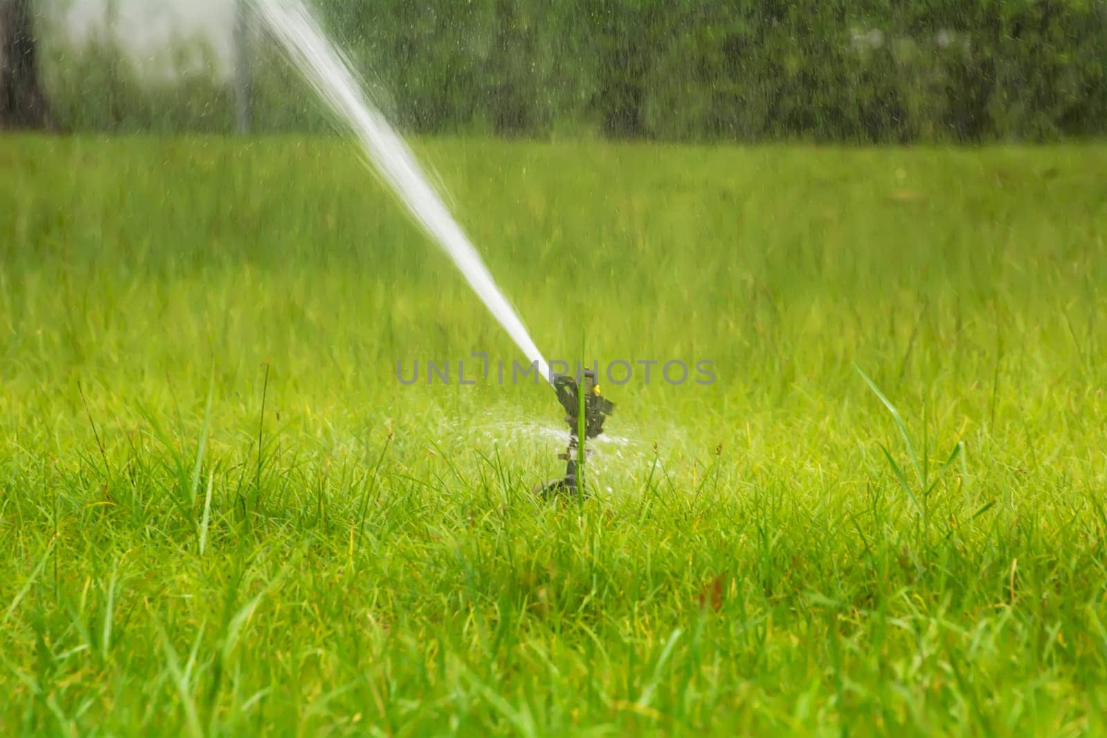 The sprinklers in the park are working.
