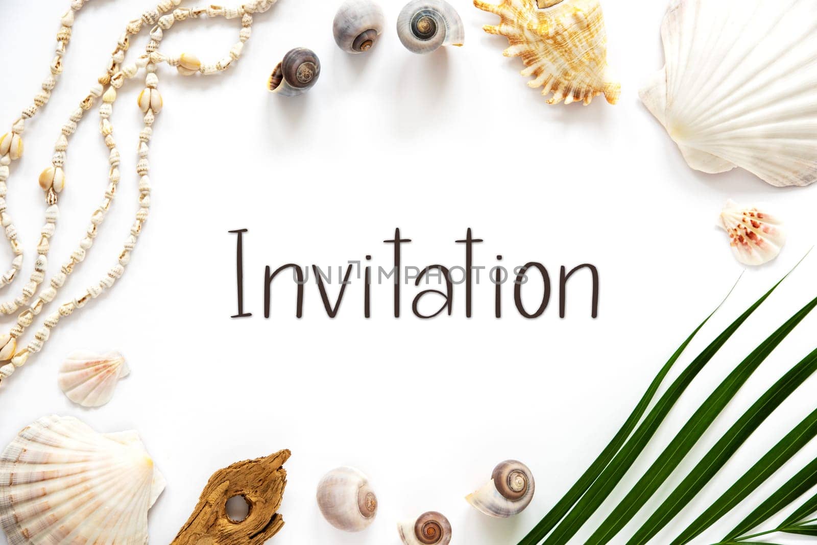White Summer Flat Lay, Top View, Decorated With Shells and Plants, With English Text Invitation