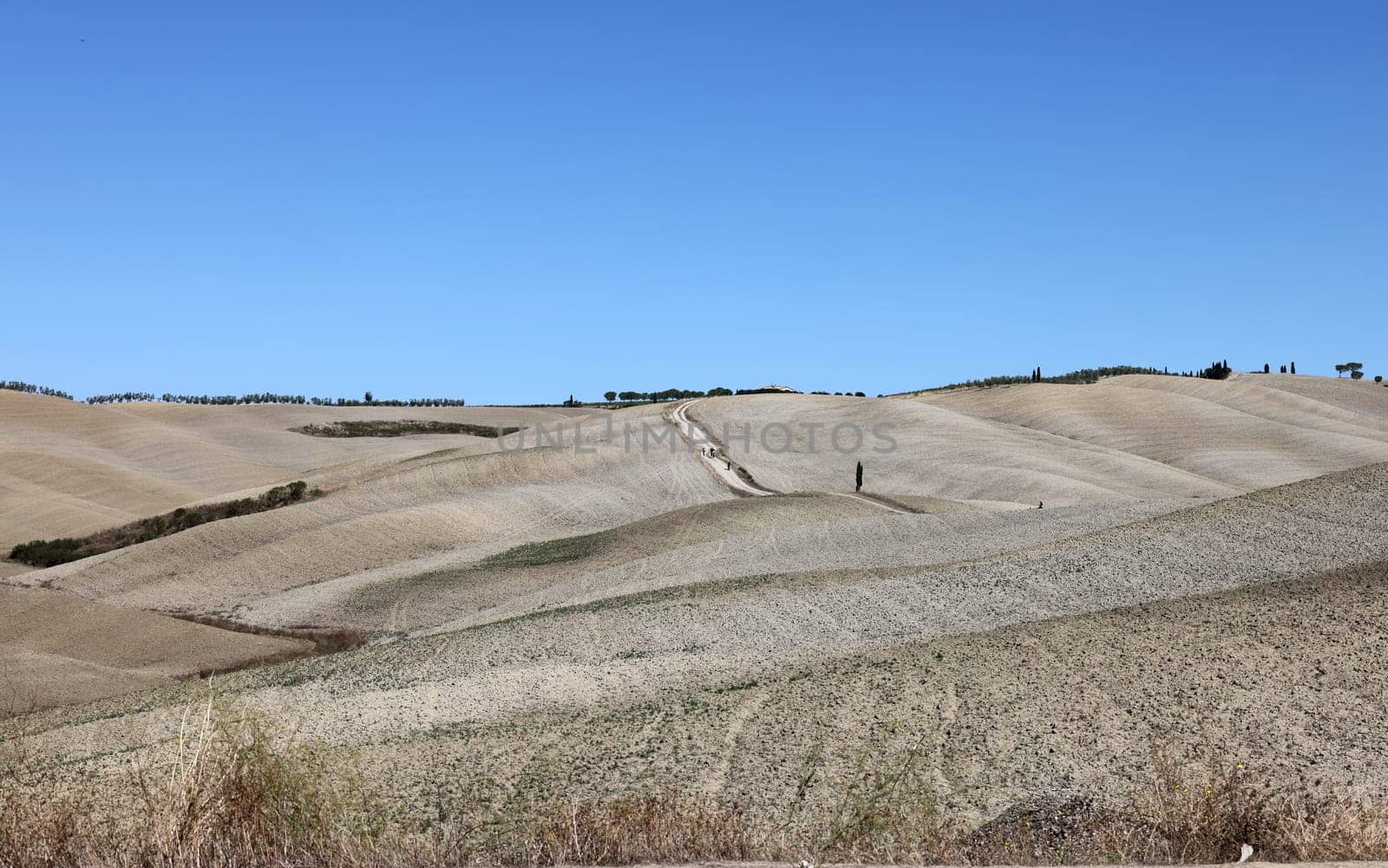 The rural landscape near San Quirico in Tuscany. Italy