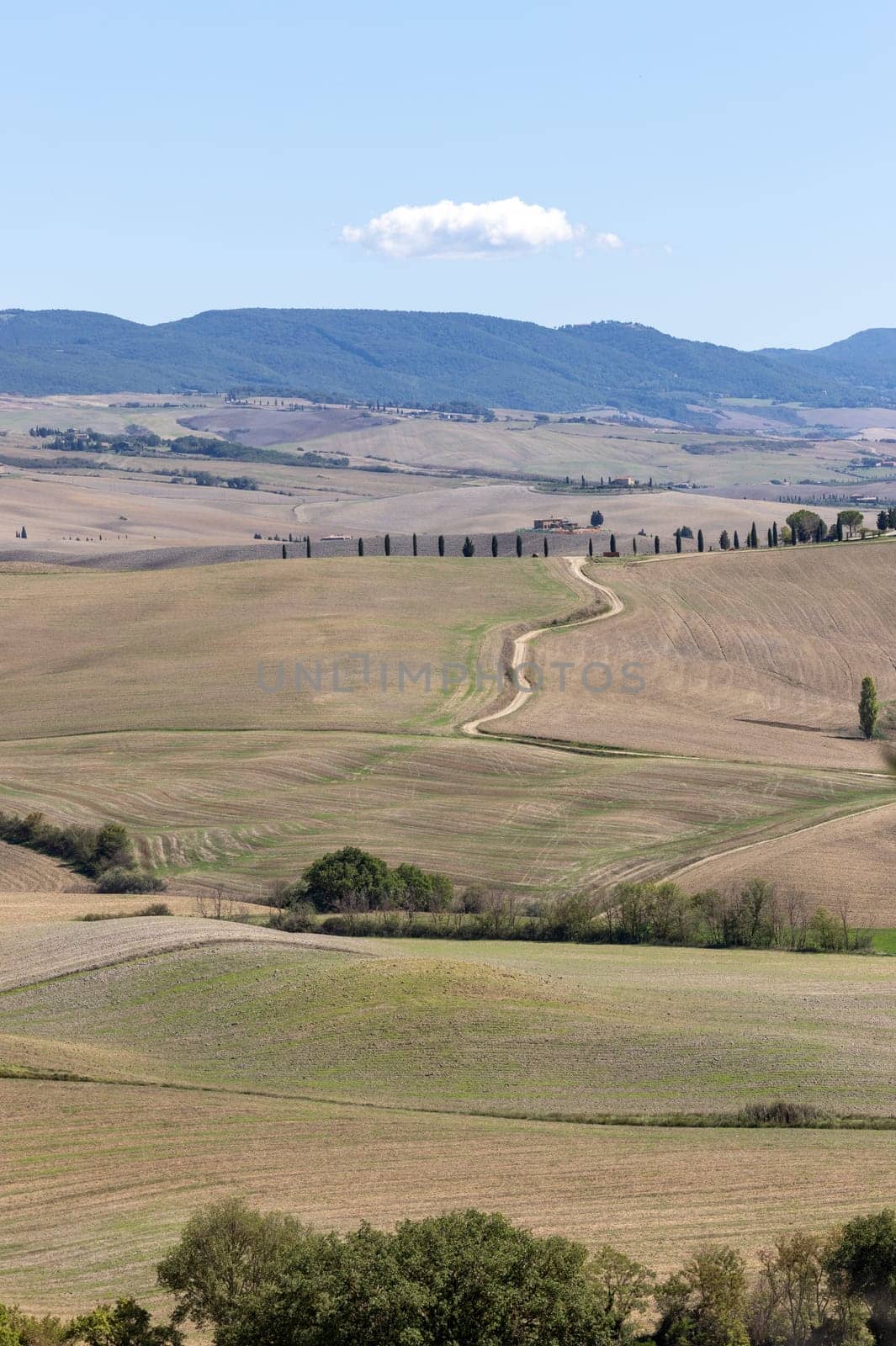 The rural landscape near Pienza in Tuscany. Italy