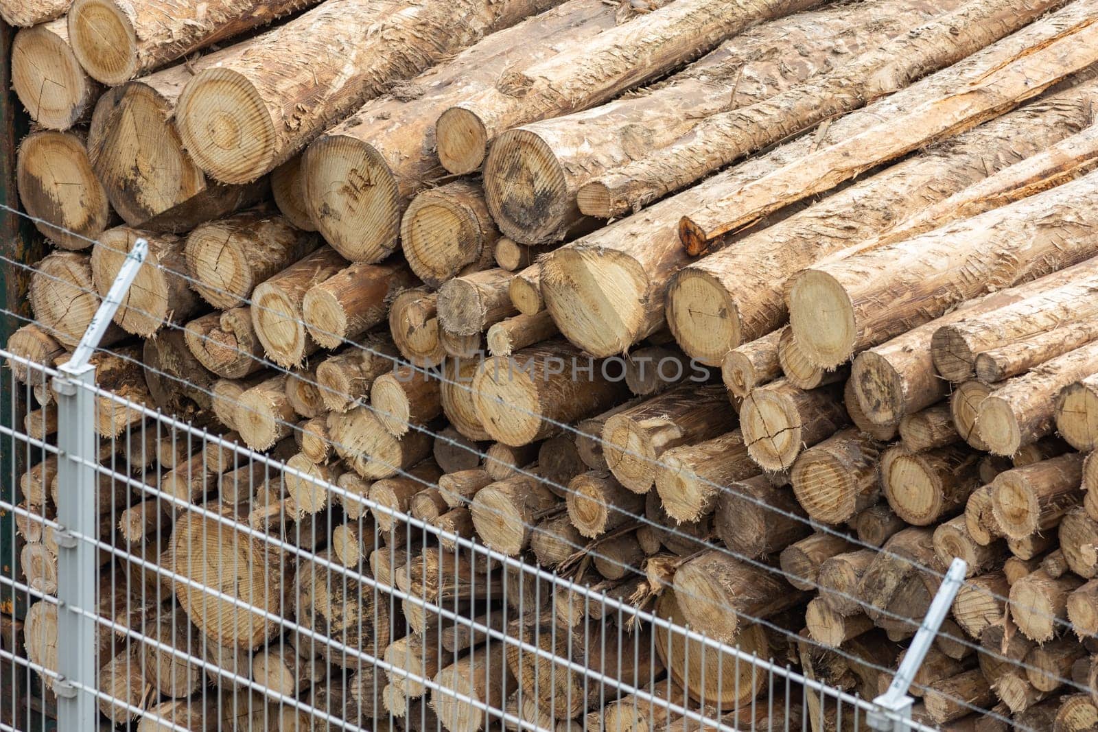 Wooden logs of pine woods stacked in a pile behind a fence. Mid shot