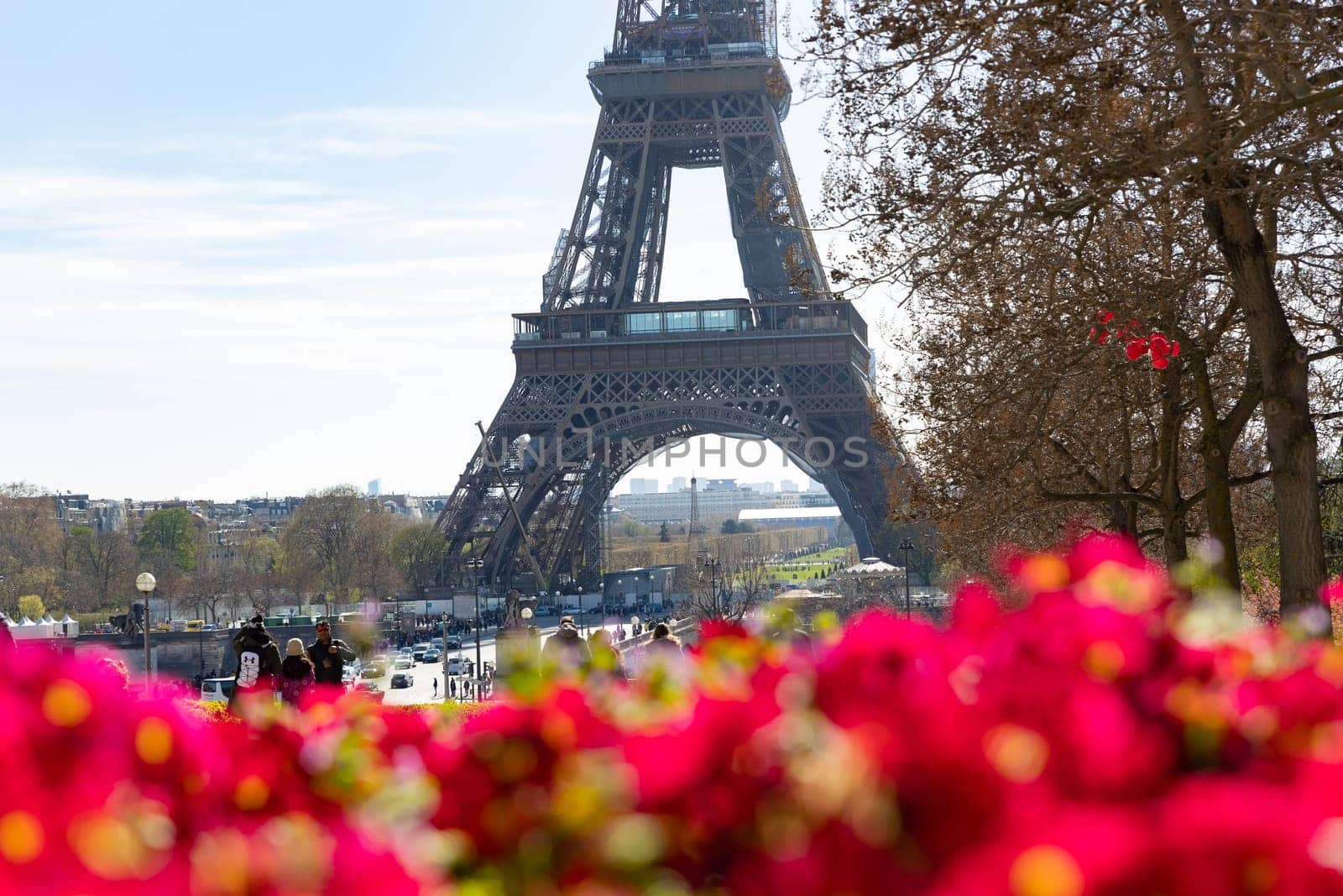April 4, 2023 Paris, France: Eiffel Tower and red flowers on the foreground. Mid shot