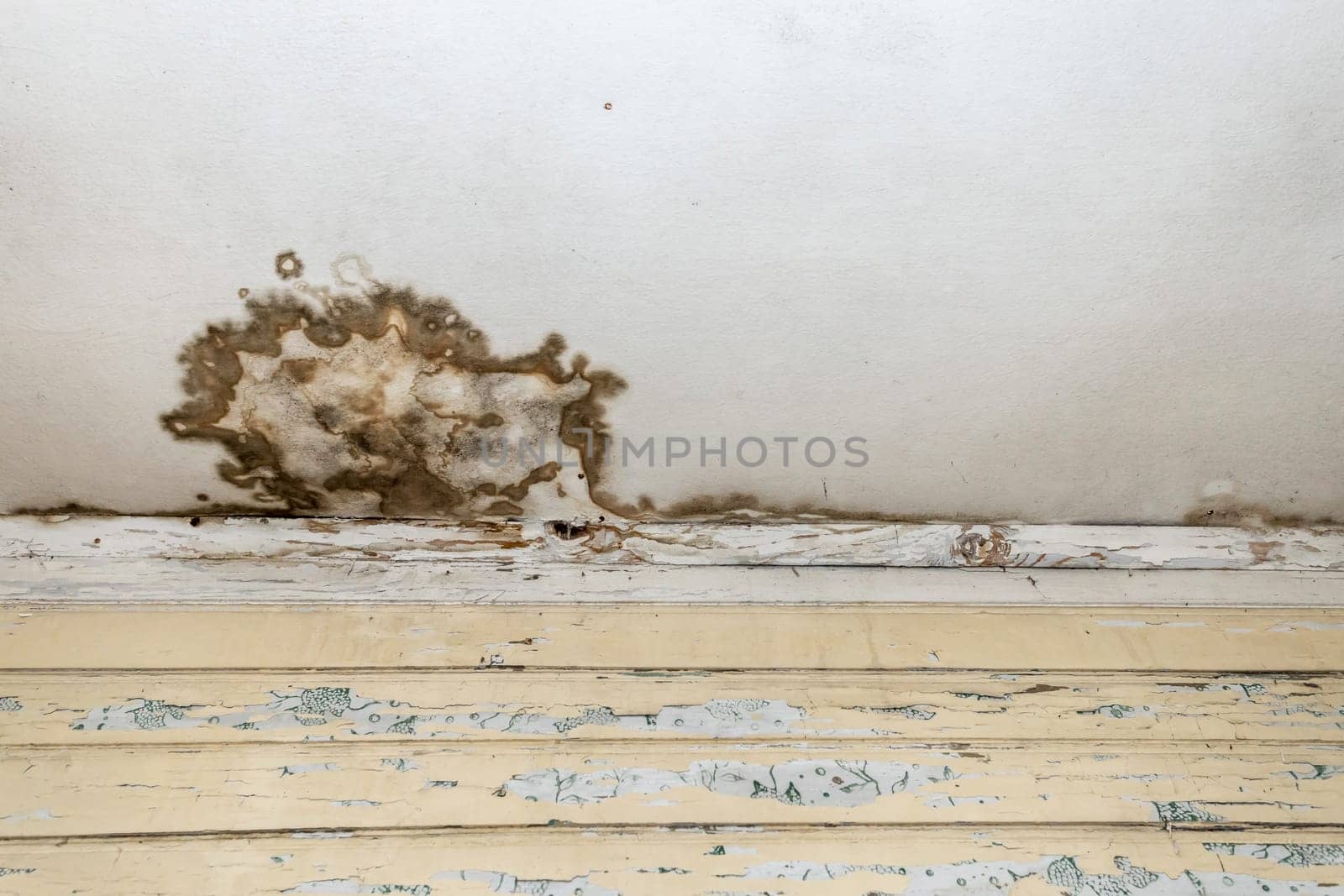Mold and mildew spots on the ceiling or wall due to poor air ventilation and high humidity. Harm to health.