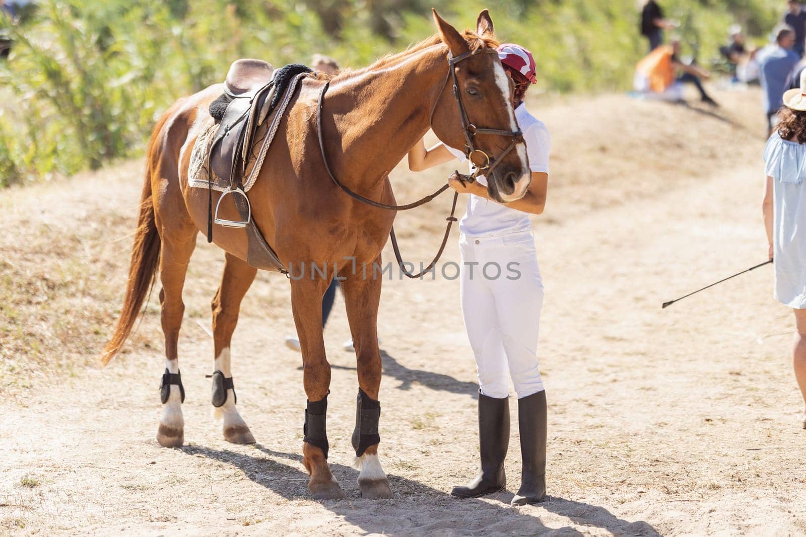 A female rider stands next to a brown horse outdoors. Mid shot