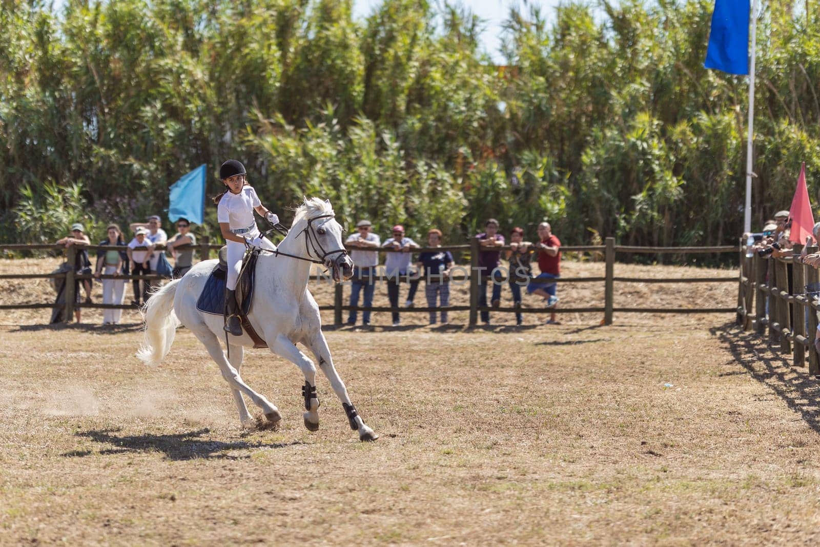 30 april 2023 Sobreda, Portugal: a girl riding a white horse at ranch. Mid shot