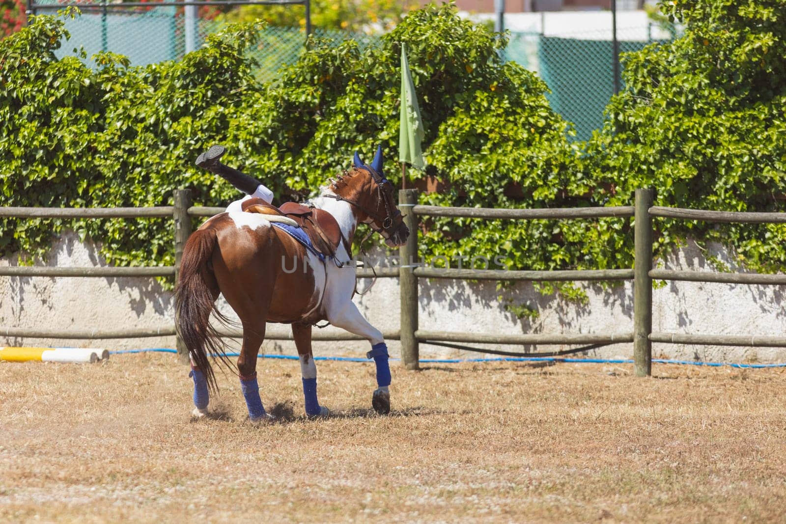Equestrian sport - a kid falling from a horse at the ranch. Mid shot