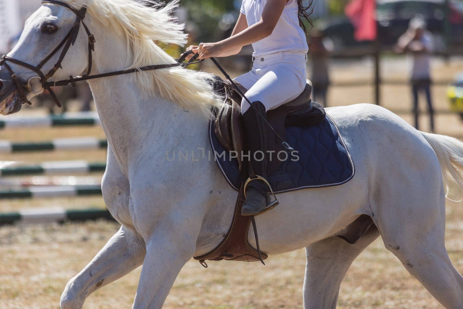 Equestrian sport - a little girl in uniform riding white horse at the ranch. Mid shot