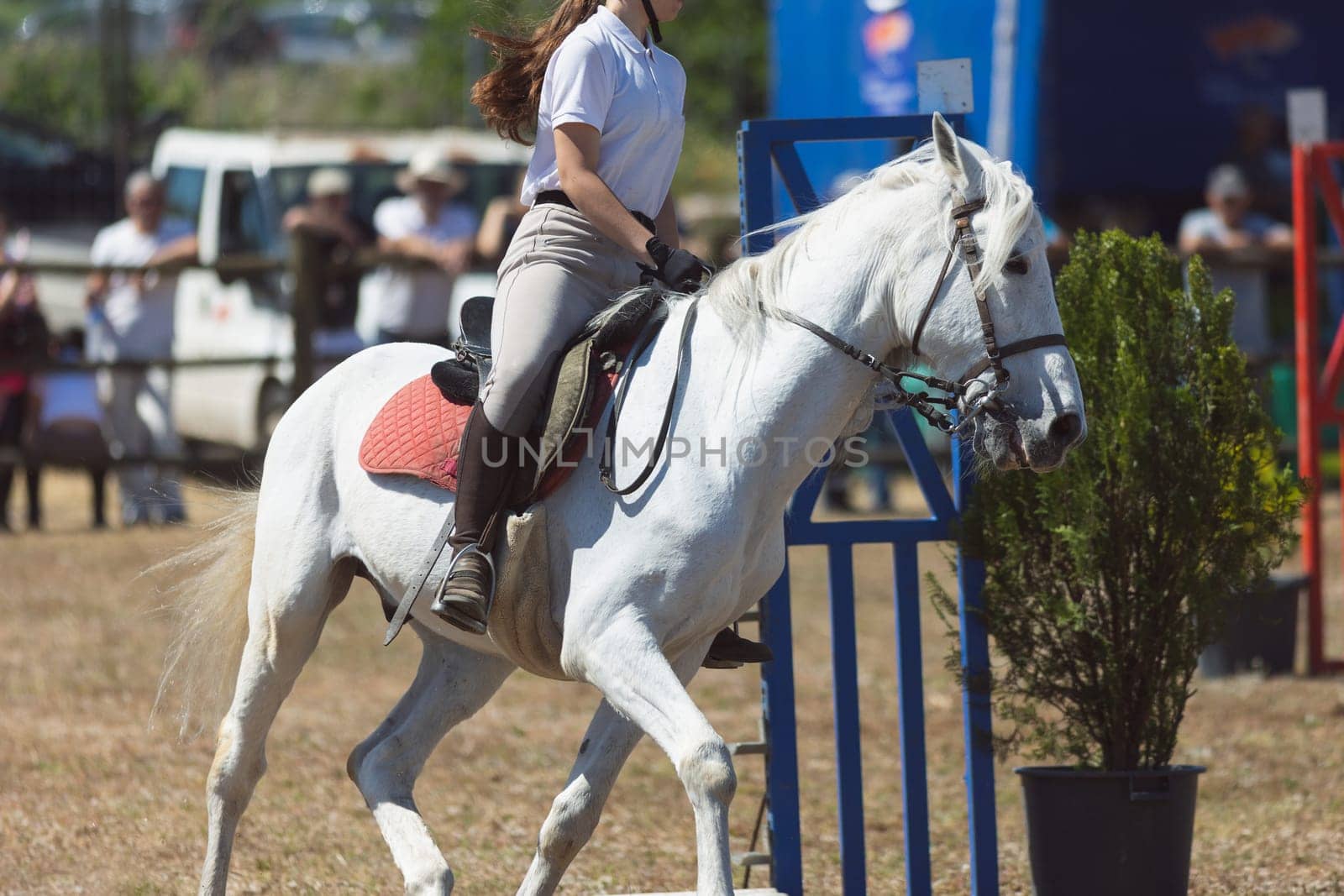 A girl in white uniform riding white horse at the ranch. Mid shot