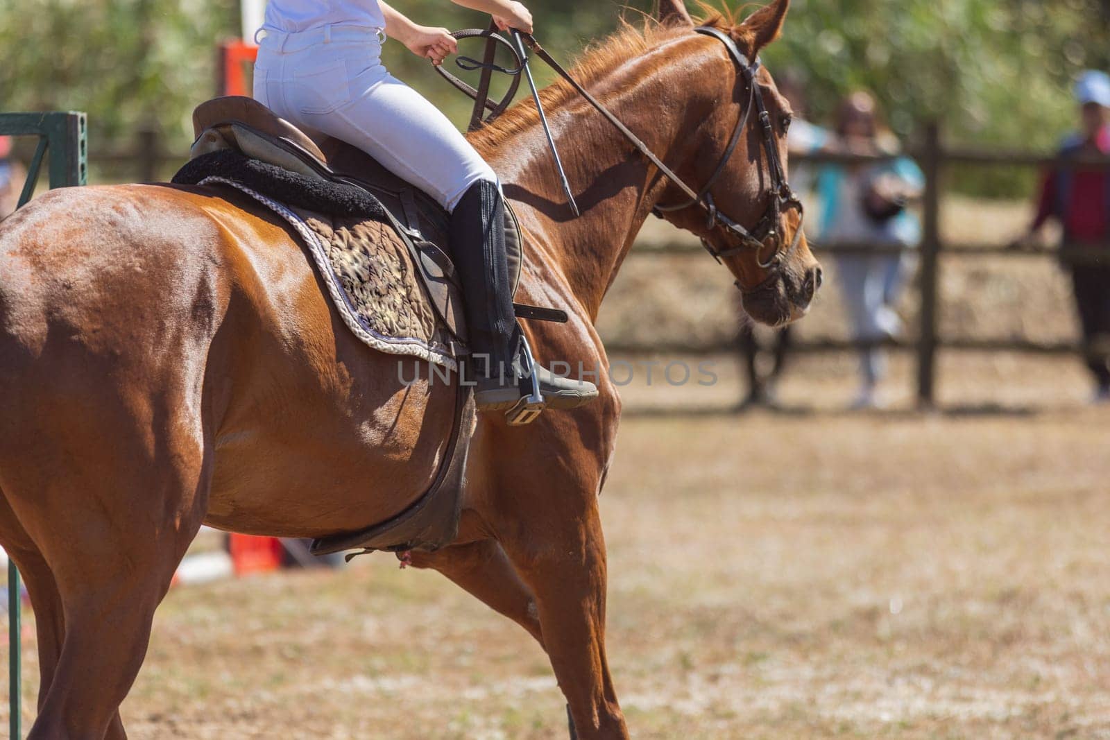 Equestrian sport - a person in uniform riding brown horse at the ranch. Mid shot