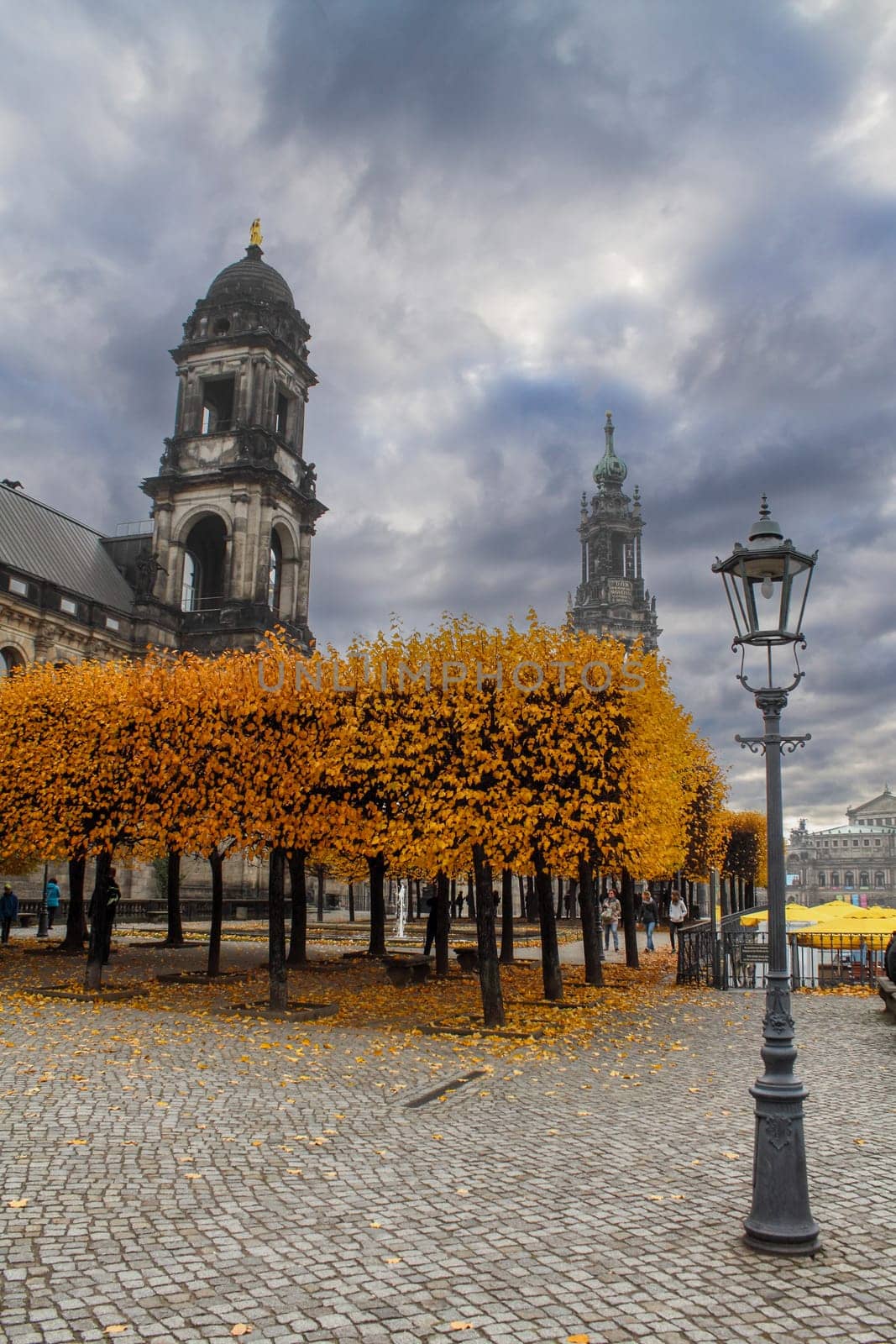 The Bruehl terrace in autumn with vibrant yellow trees, Germany