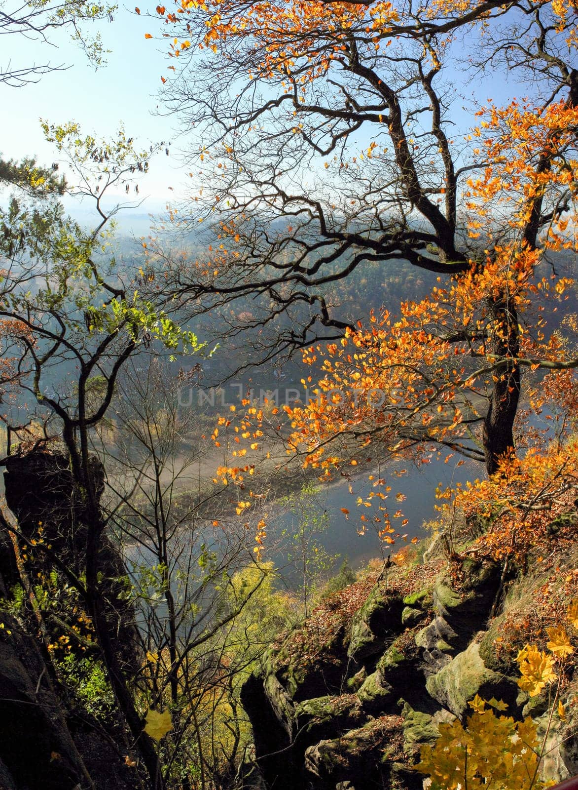 Famous Saxon Switzerland at the Elbe river in Saxony, Germany