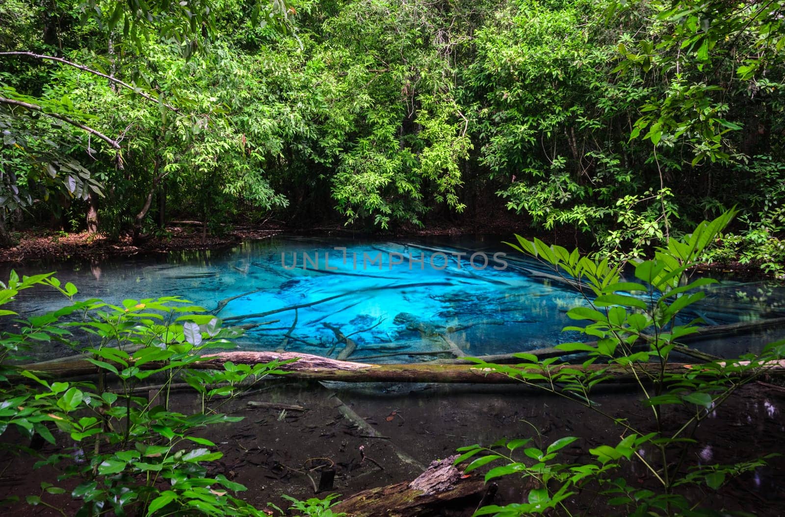 Emerald blue pool (Sra Morakot) in Krabi province, Thailand. Beautiful nature scene of crystal clear blue water in tropical rainforest.