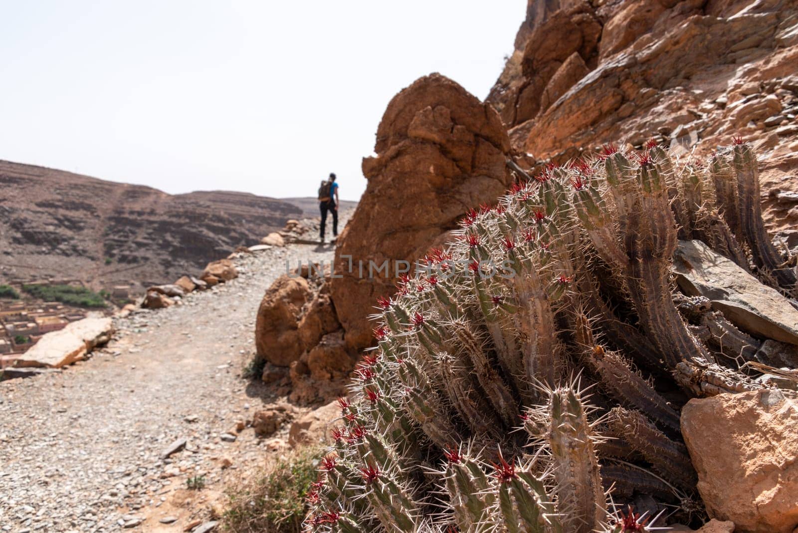 Panoramic view of famous Amtoudi gorge in the Anti-Atlas mountains, Morocco
