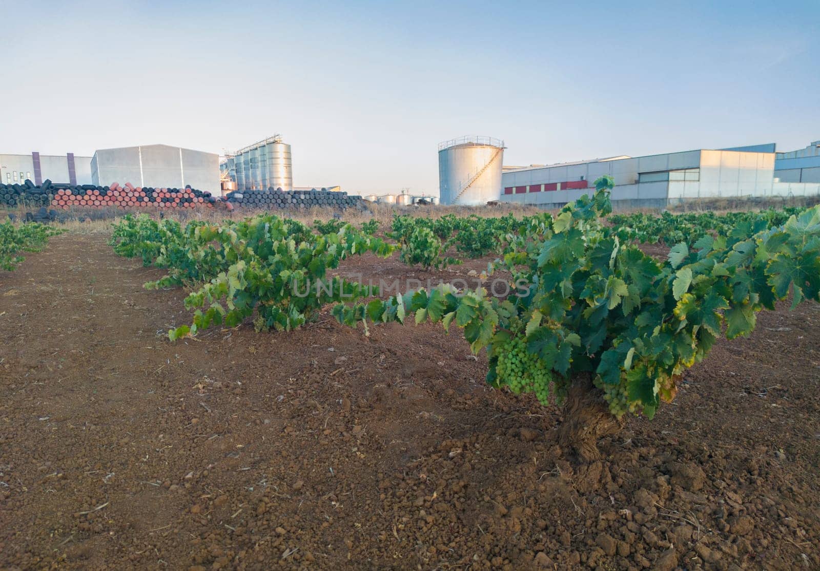 Tierra de Barros industrial area. Famous table olives and winemaking region