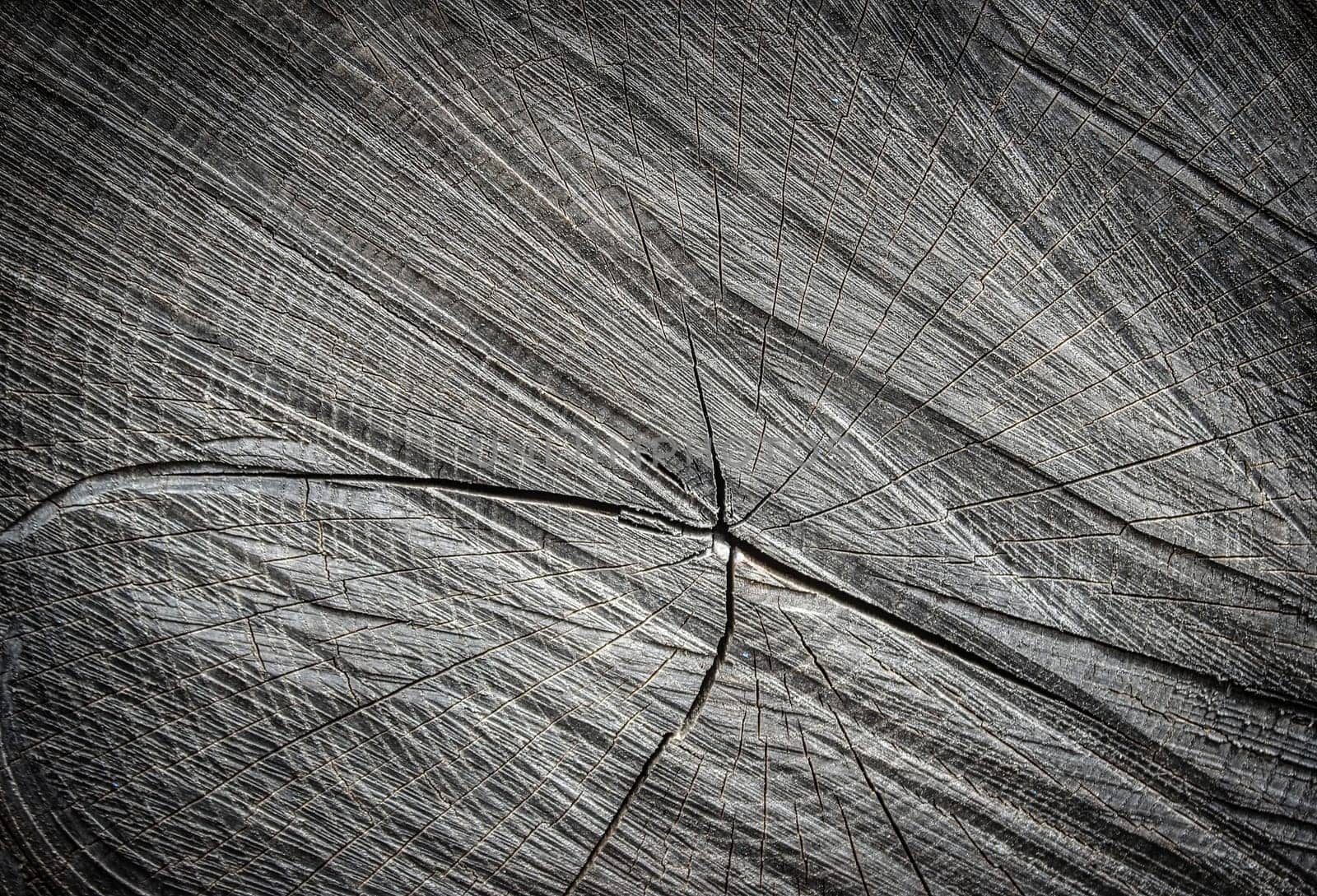 seamless texture background old wood cracks