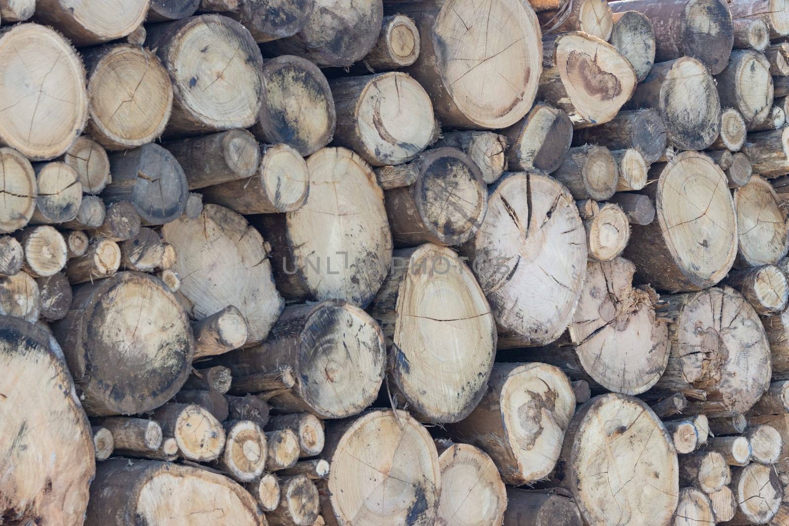 Stacked on top of each other cut rounded logs. Mid shot