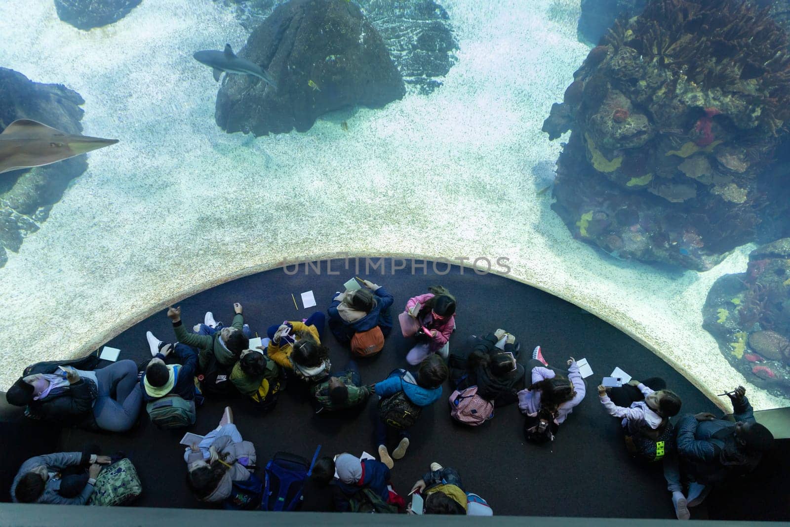 PORTUGAL, LISBON 12 December 2022: children sit in front of aquarium glass. Mid shot