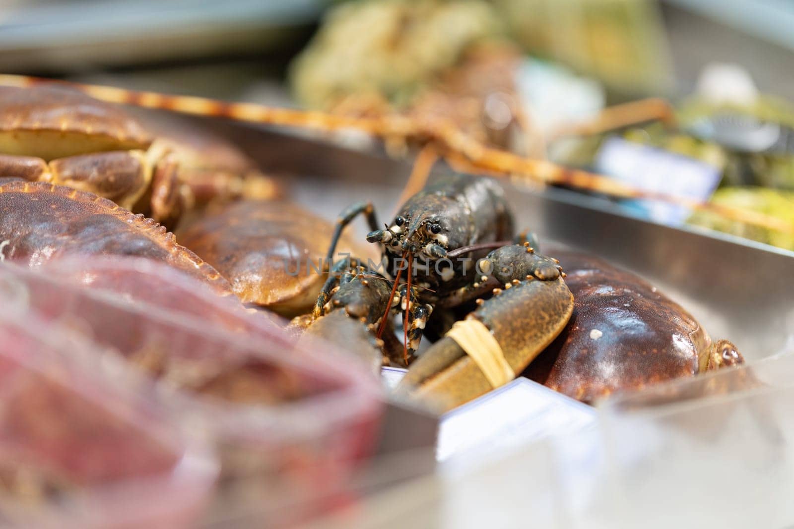 Lobsters and crabs are sold on the market. Mid shot