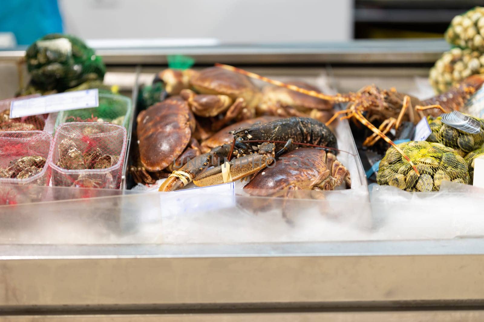 Newly caught lobsters are sold on the market. Mid shot