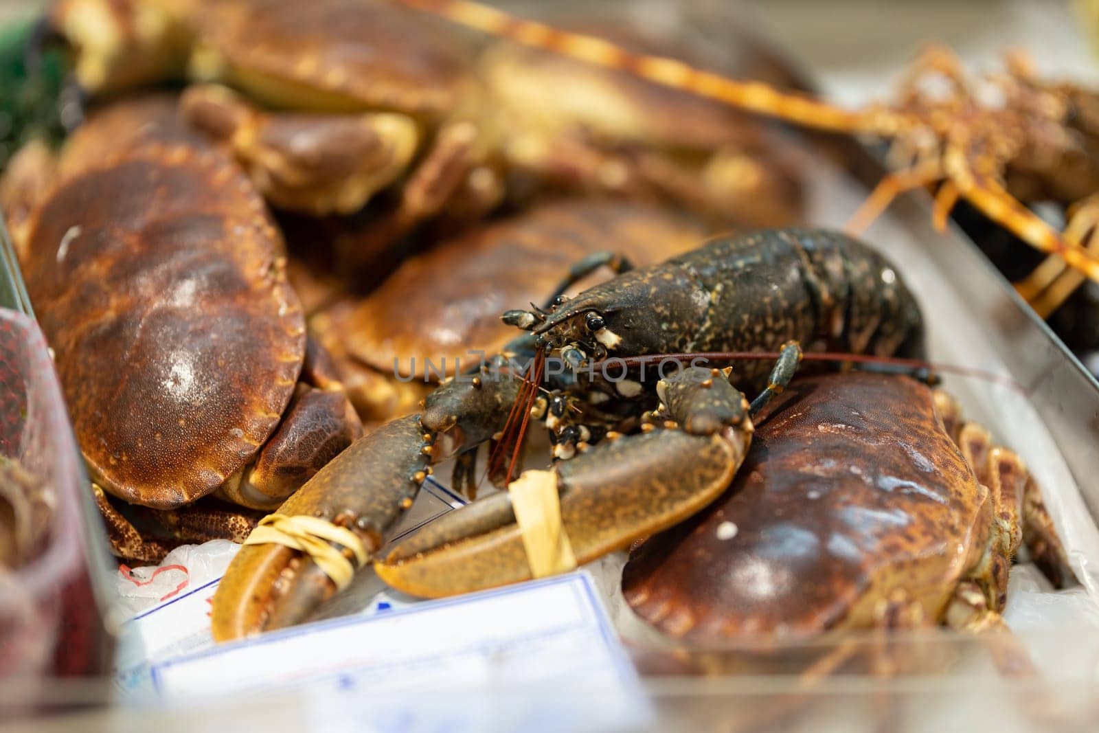 Newly caught lobsters and crabs are sold on the market. Mid shot