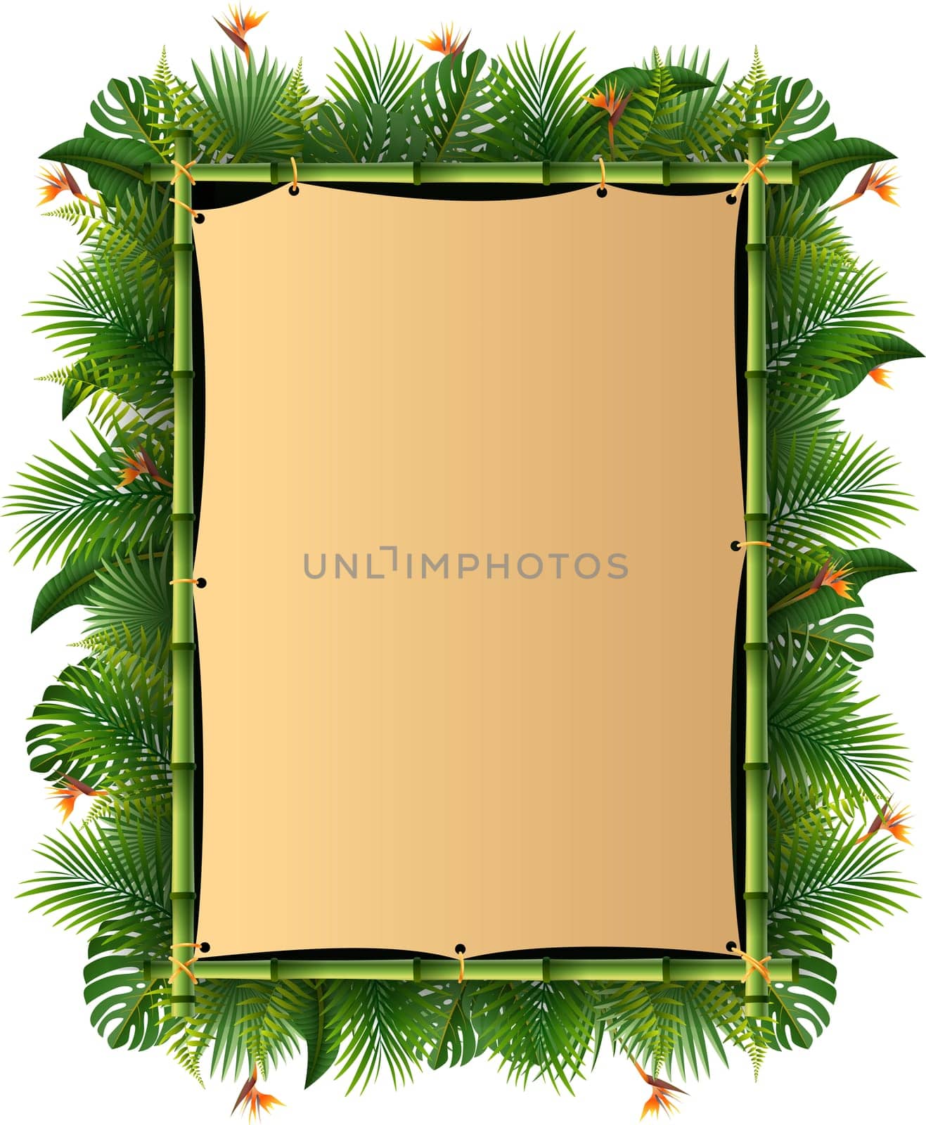 Blank sign with Tropical forest background