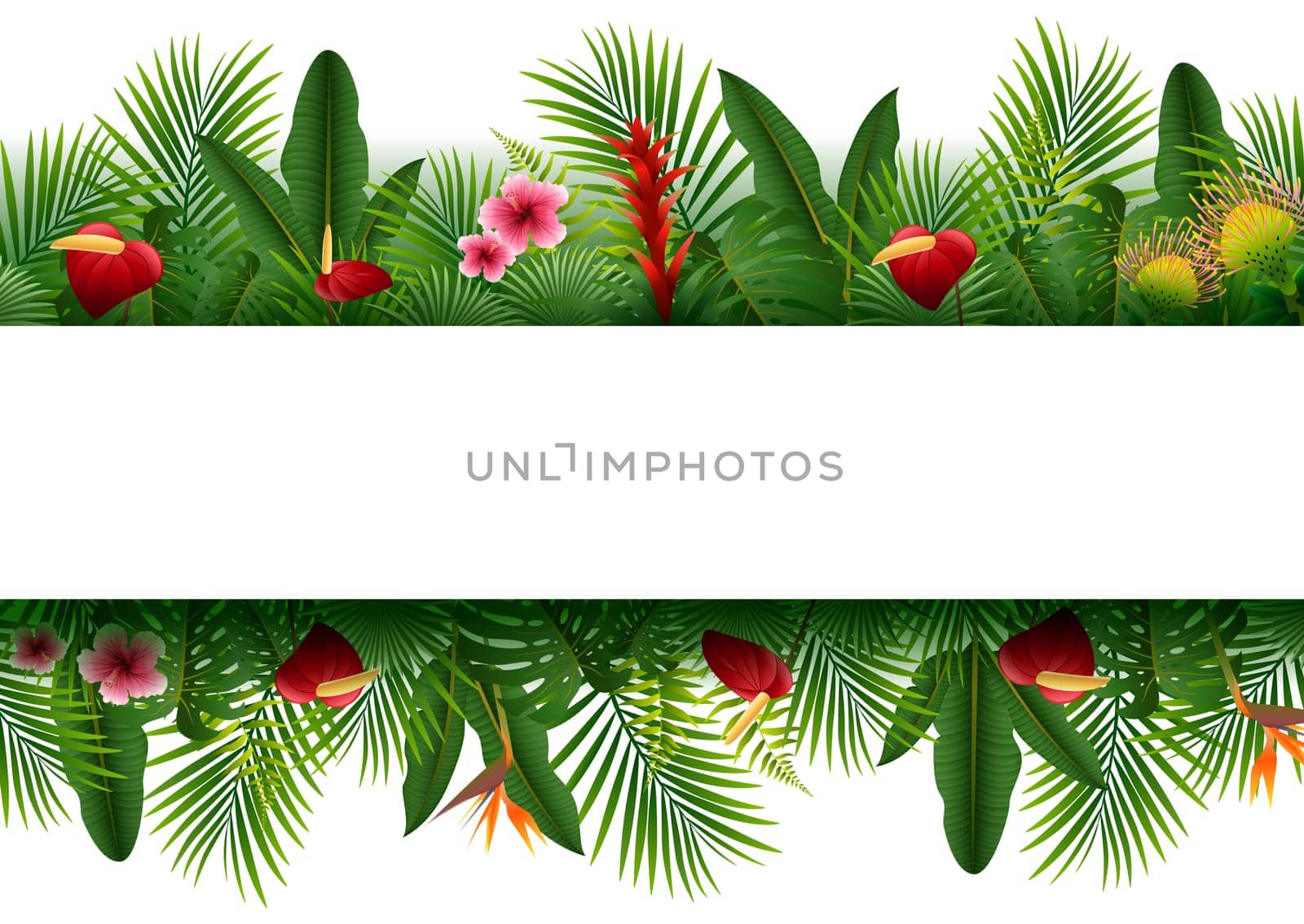 Blank sign with Tropical forest background