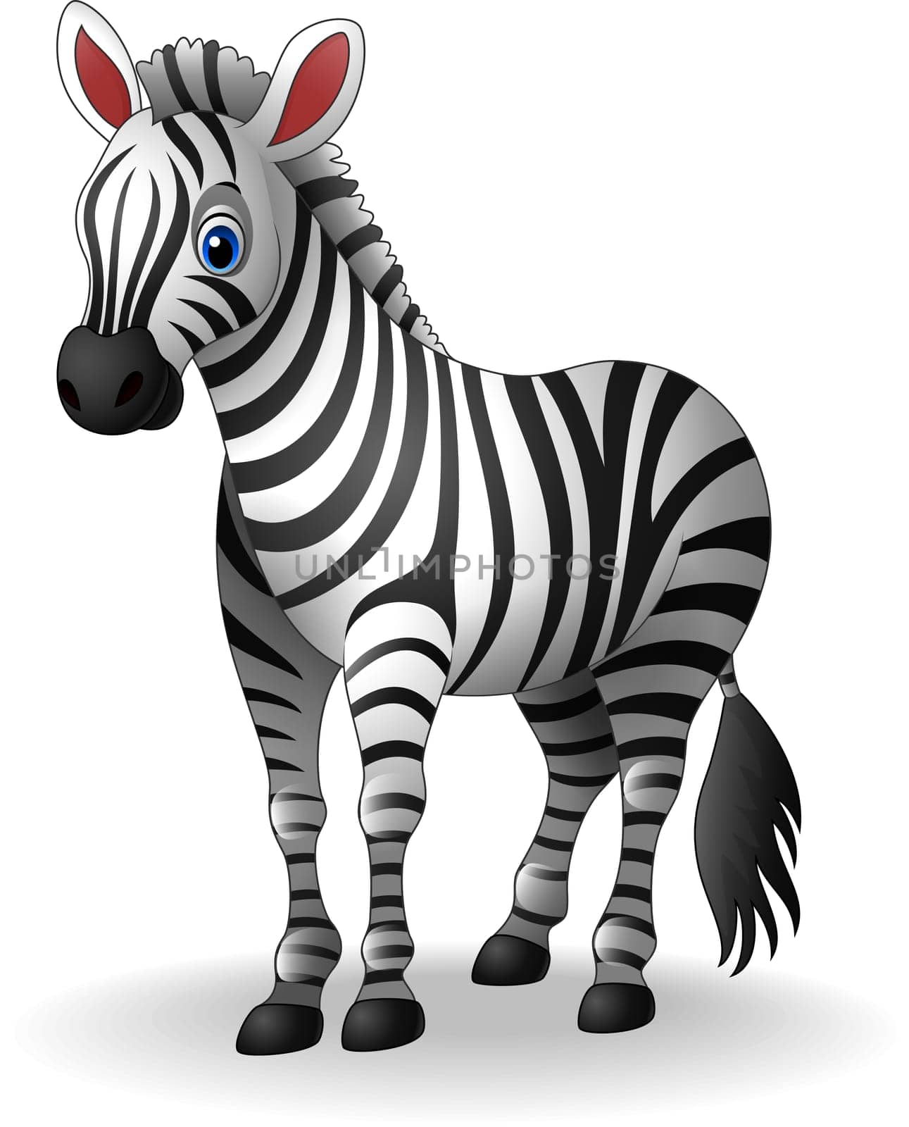 Cartoon zebra
