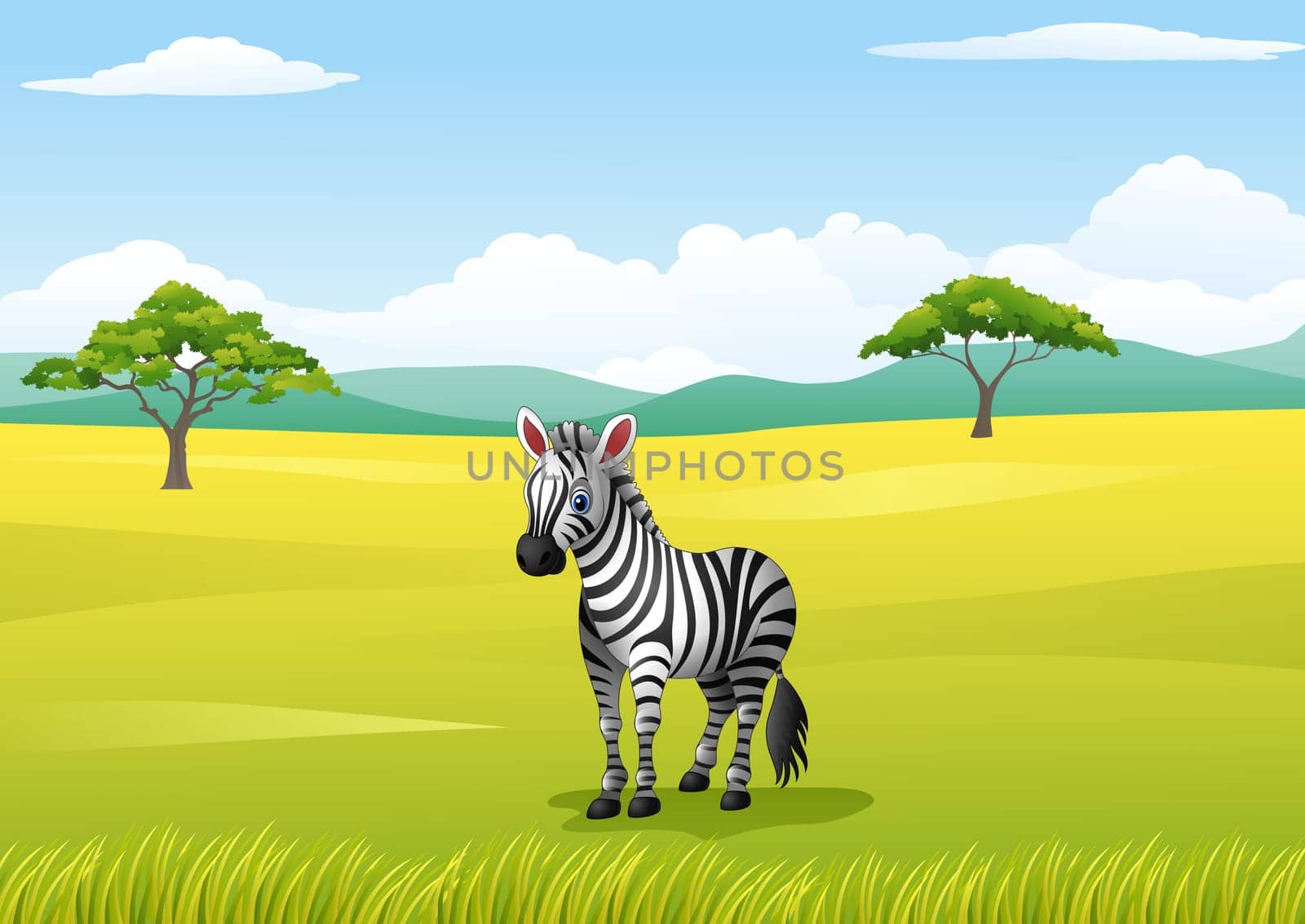 African landscape with zebra