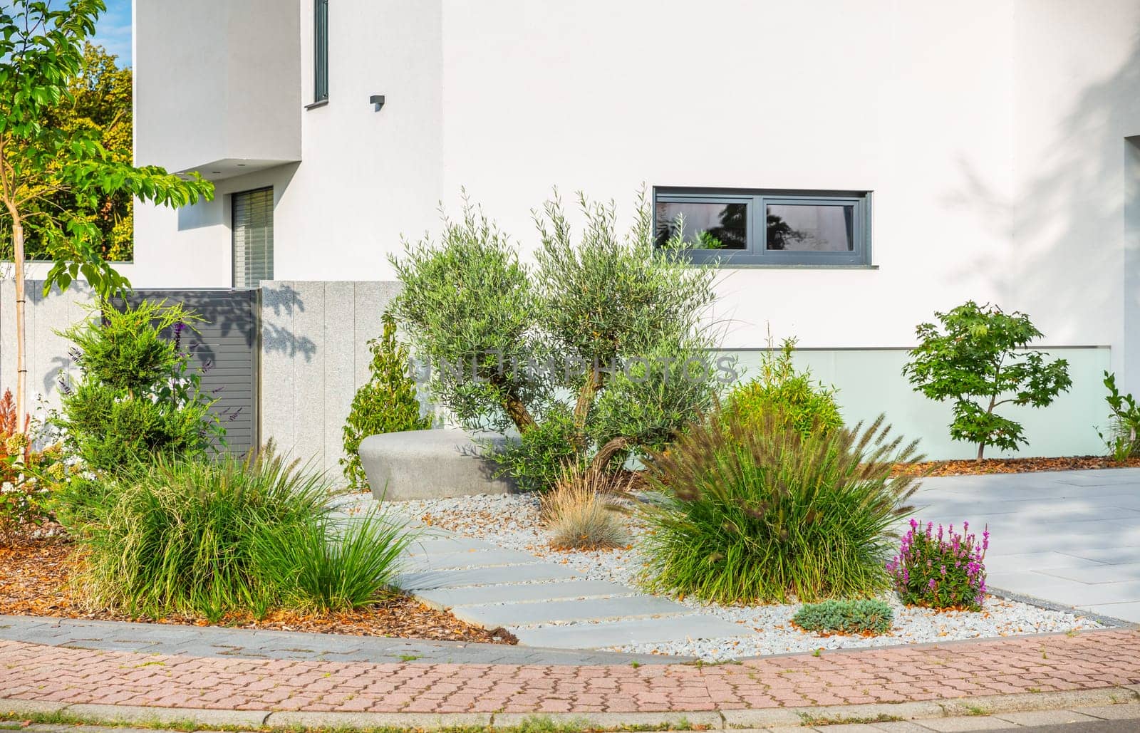 The frontyard of a modern house, garden details with colorful plants, dry grass beds surrounded by grey rocks.