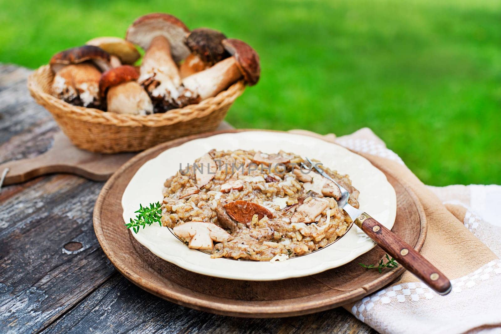 Delicious mushrooms risotto dressed with parmesan cheese and herbs. Basket with porcini mushrooms ingredients outdoors on sunny day
