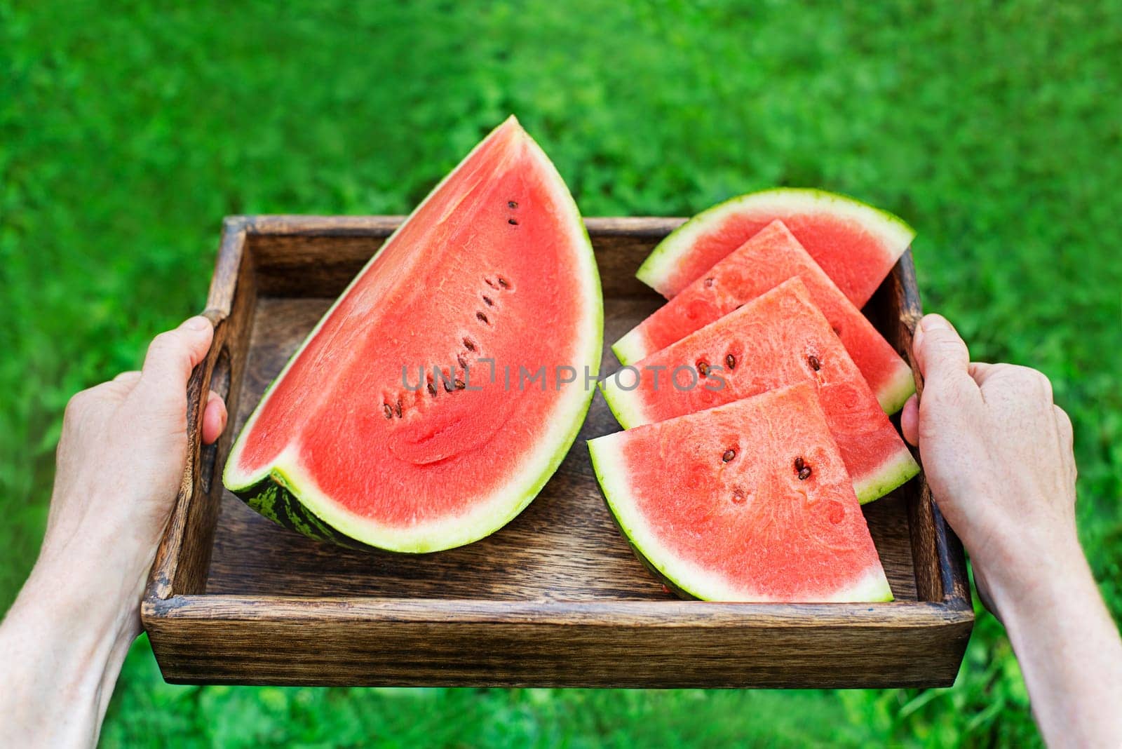 Woman holding tray with fresh sliced watermelon. Selective focus on the watermelon. Outdoors in the garden