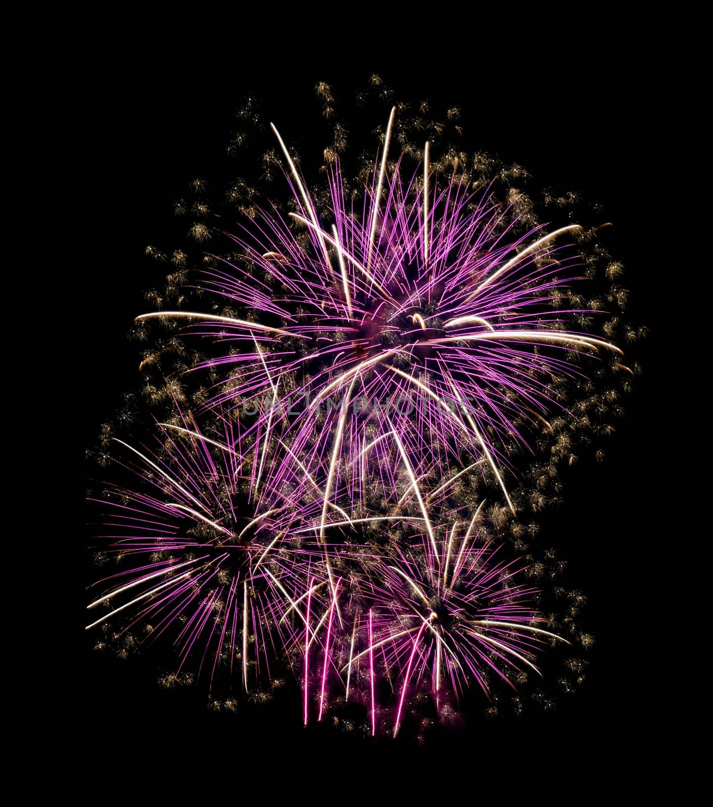 Festive pink fireworks display isolated on black background for celebration and anniversary