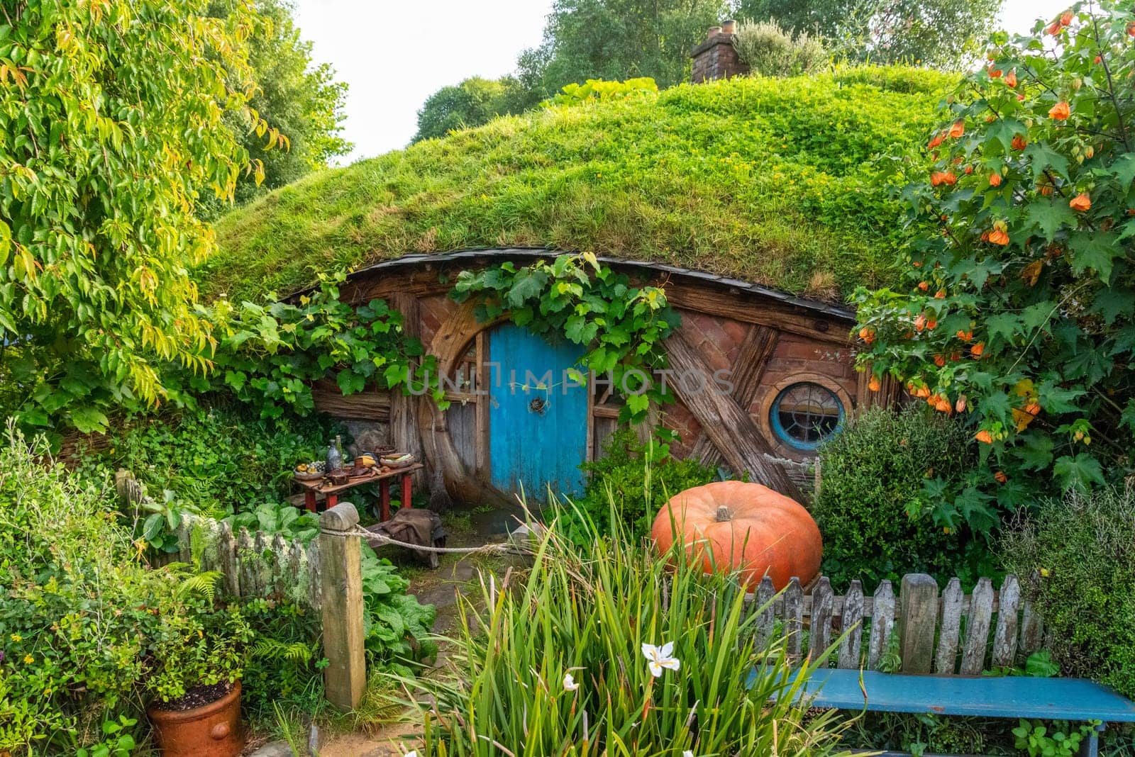 HOBBITON, NEW ZEALAND - JANUARY 20, 2023 - Famous Hobbiton village in Matamata from the movies The Hobbit and Lord of the Rings, New Zealand