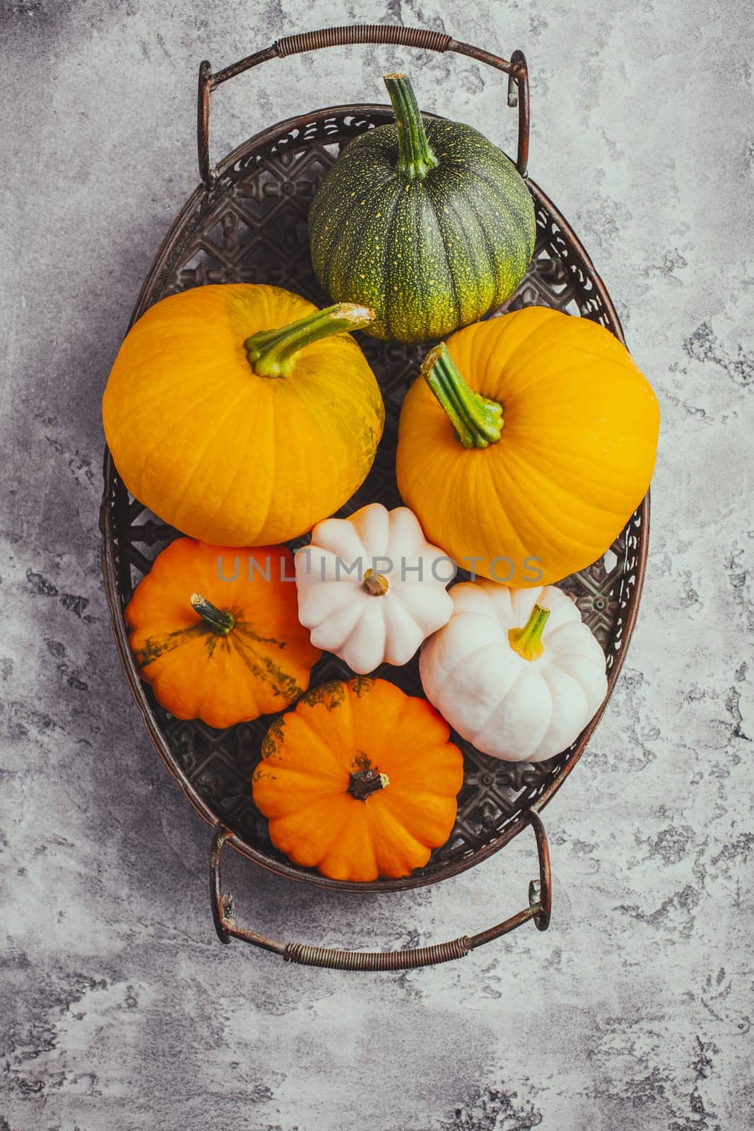 Autumn vegetables in a basket, harvest of zucchini, yellow pumpkin and Pattypan squash