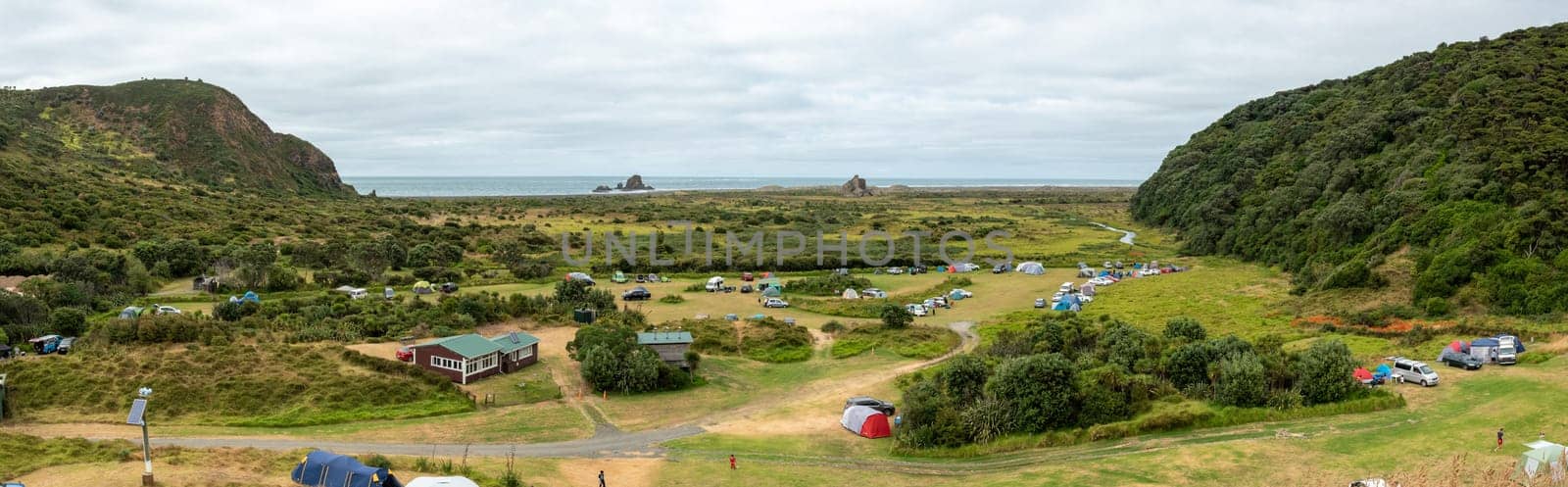 Beautiful vegetation at Whatipu beach in Auckland, New Zealand