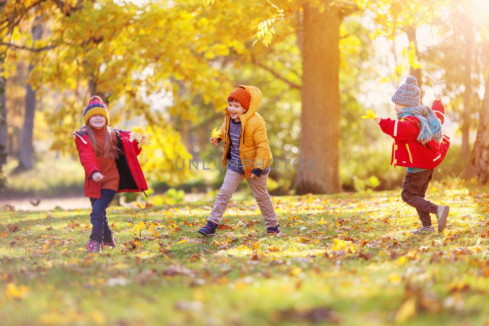 Children running and playing in the autumnal natural park. Concept of the friendship and family weekend.
