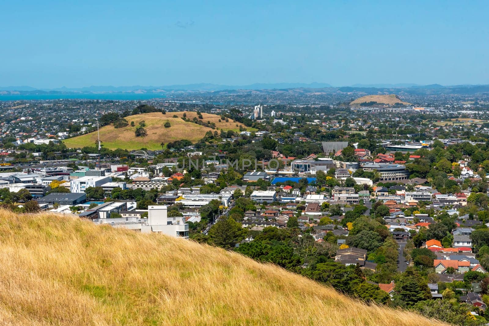 View on Auckland Central Business District from Mount Eden Volcanic Park, New Zealand