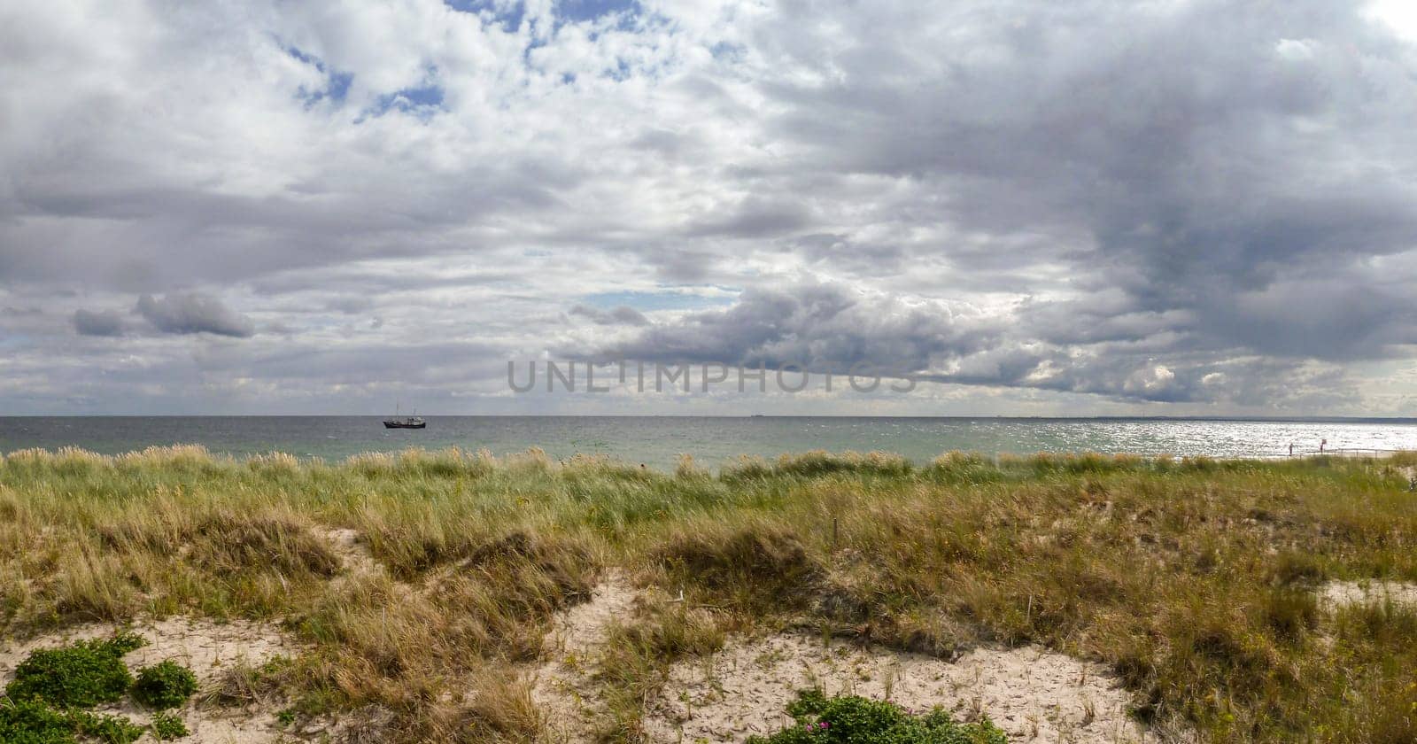 Panoramic view of dunes at the beach of Hel peninsula, Poland