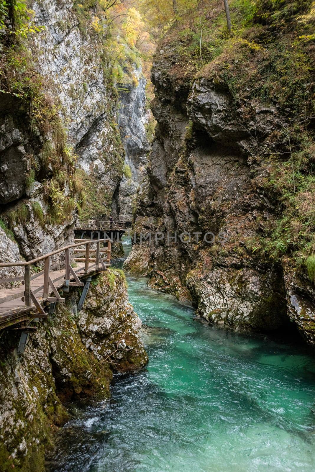 Scenic wild river flowing through the Vintgar gorge, Slovenia