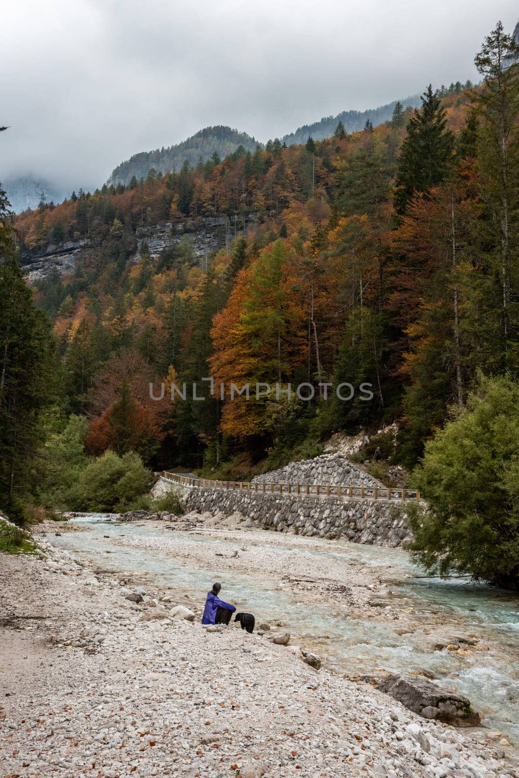 A hiker resting with his dog at a lake in the Bistrice valley, enjoying the view on the Julian Alps, Slovenia