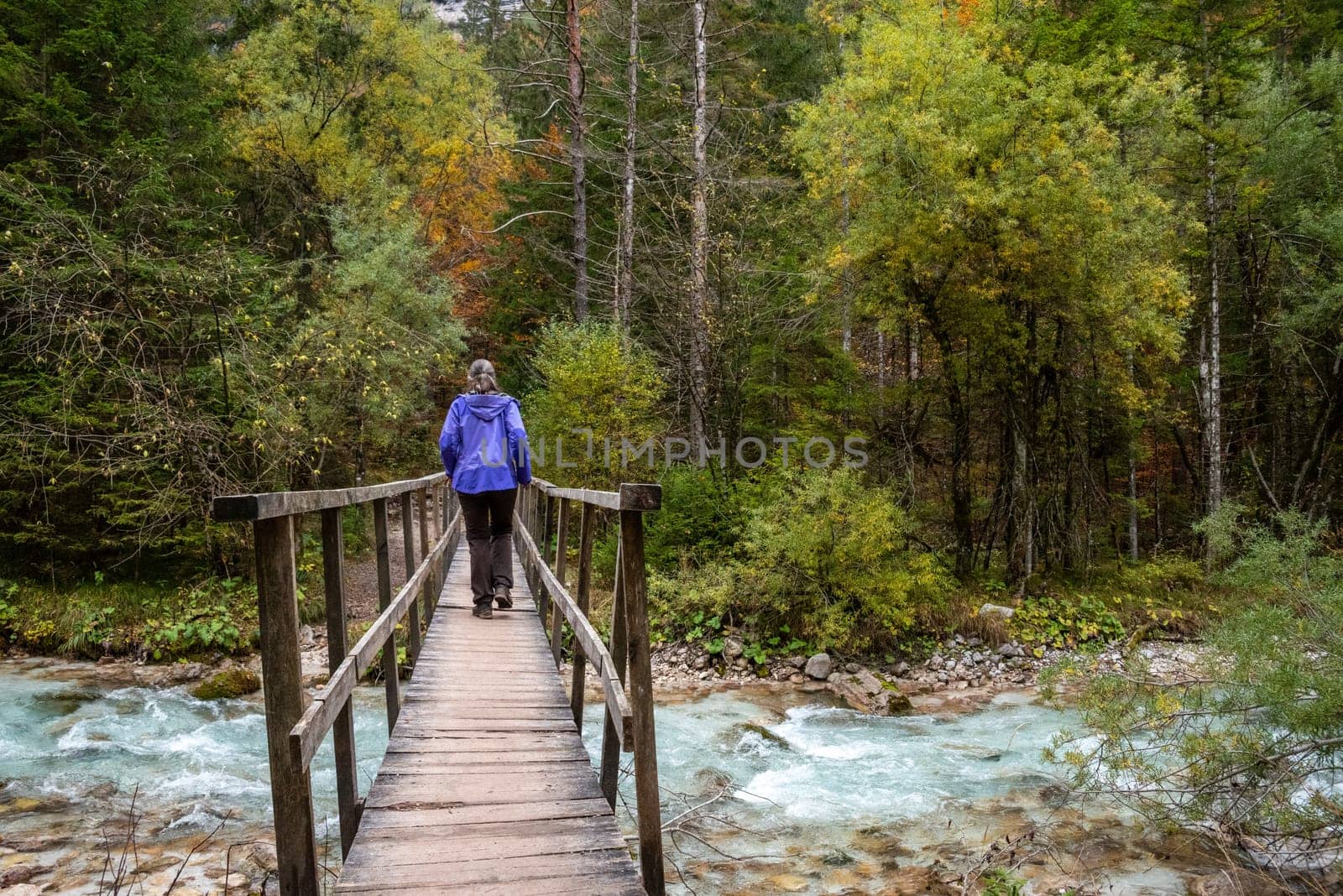 Crossing a wooden footbridge in the forest, somewhere in the Bistrice valley in the Triglav National Park, Slovenia